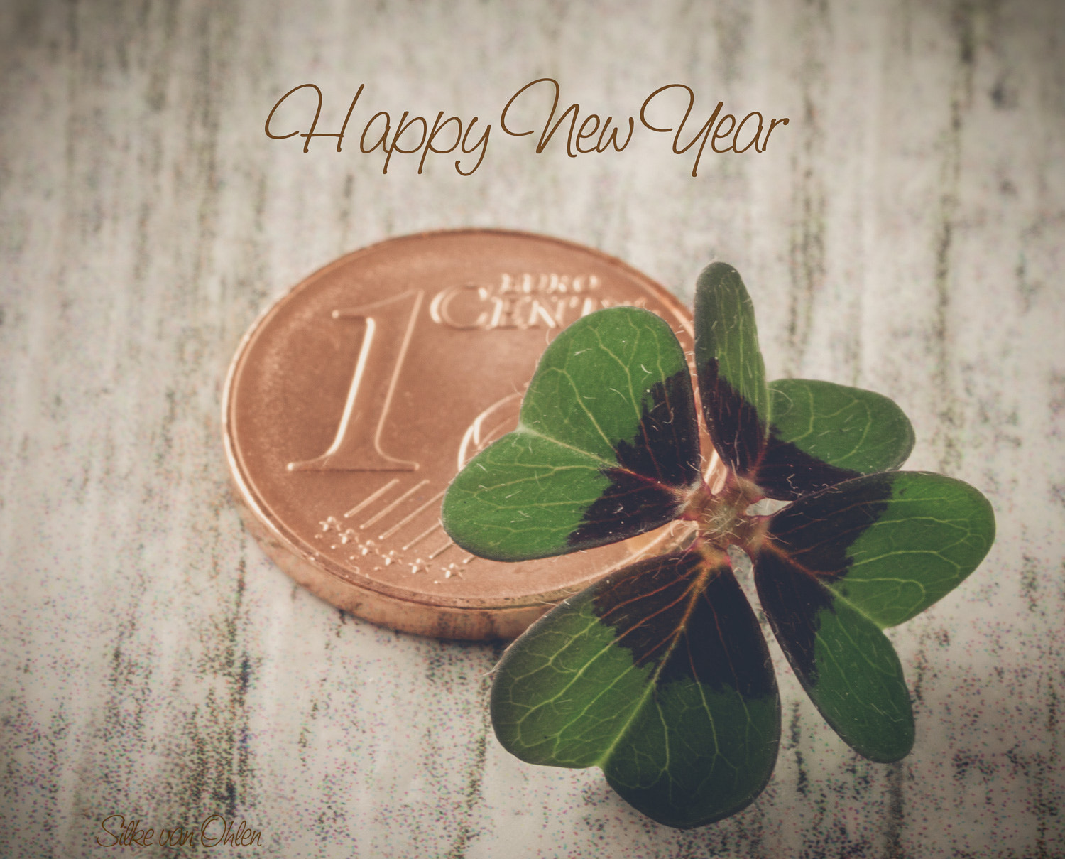 Tamron SP AF 90mm F2.8 Di Macro sample photo. Happy new year photography