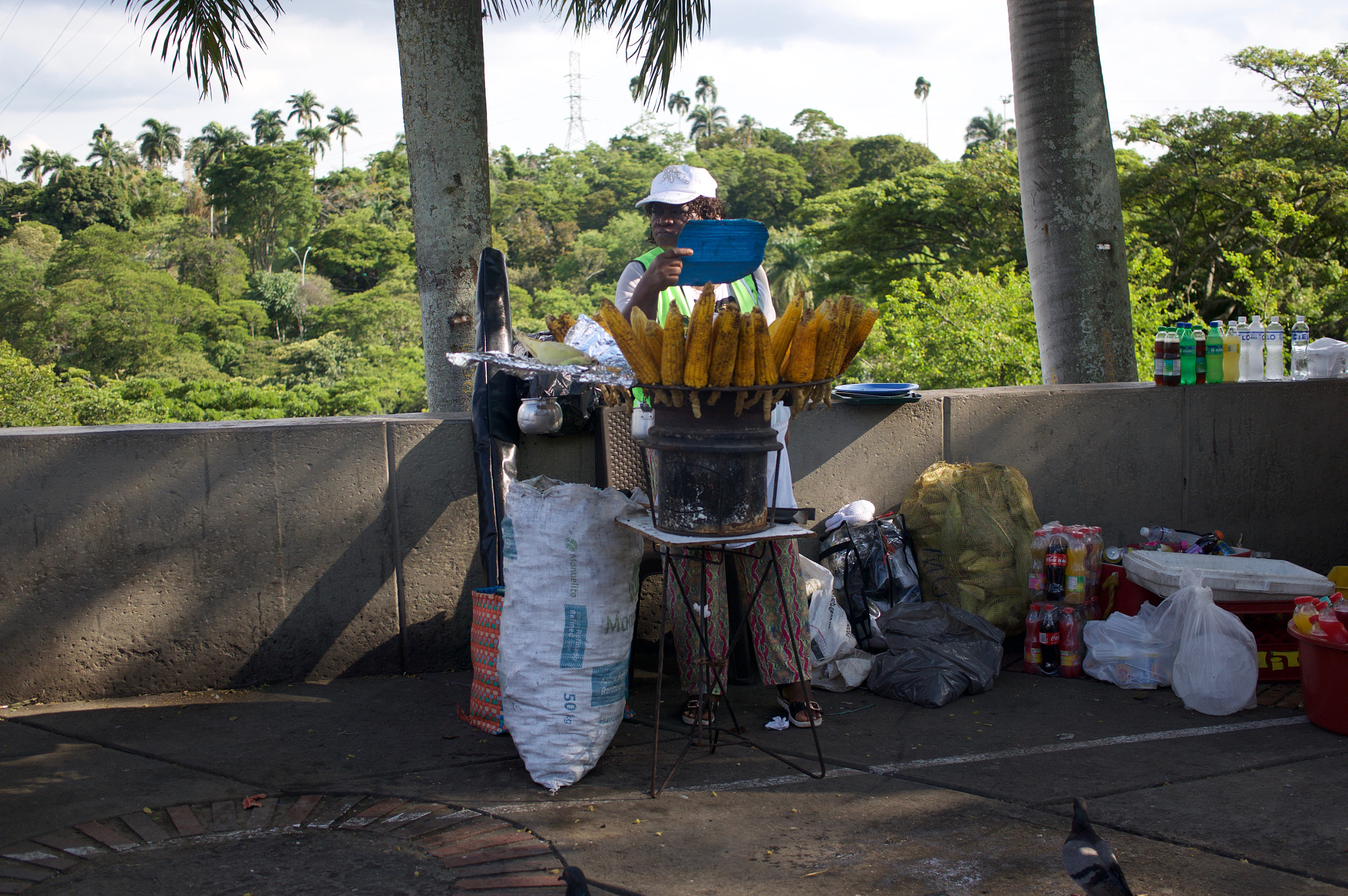 Sony Alpha NEX-6 + Sigma 30mm F2.8 EX DN sample photo. Roasted corn photography