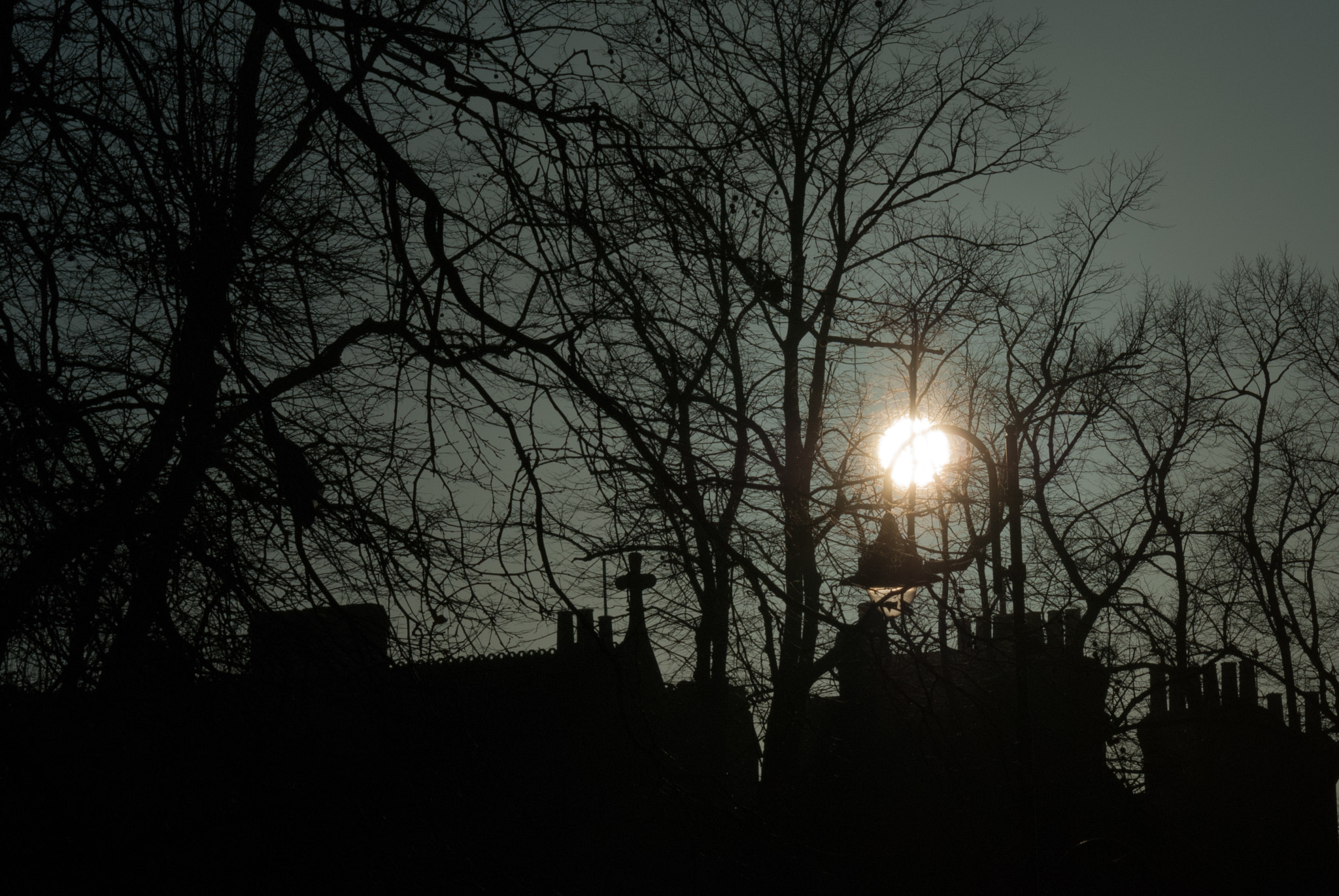 Sony Alpha DSLR-A230 sample photo. Cold winter sun photography