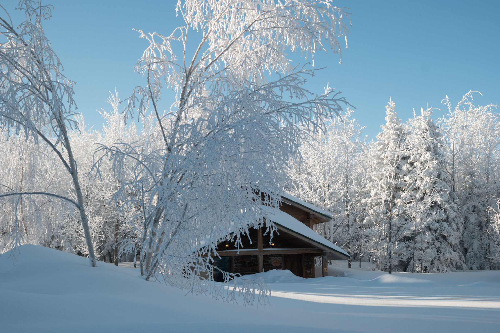 Saumsun NX 16-50mm F2-2.8 S ED OIS sample photo. Winter  photography