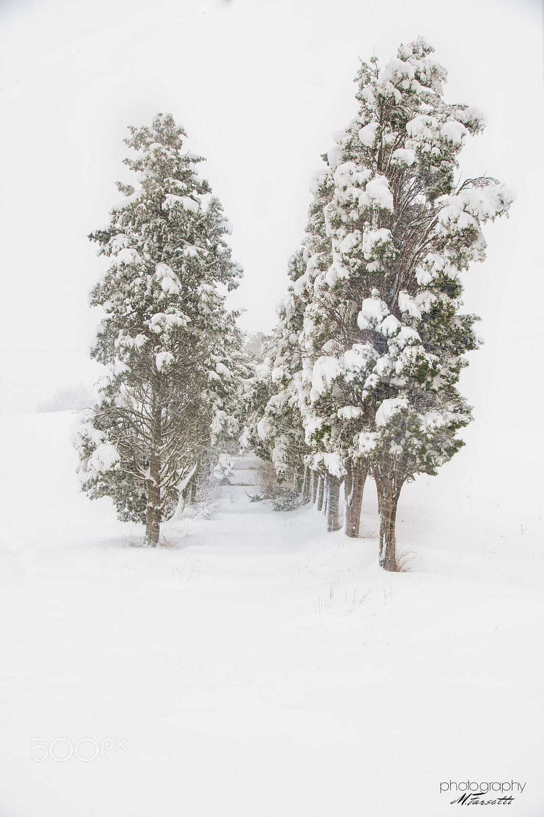 Sony DT 16-105mm F3.5-5.6 sample photo. Winter road ... photography