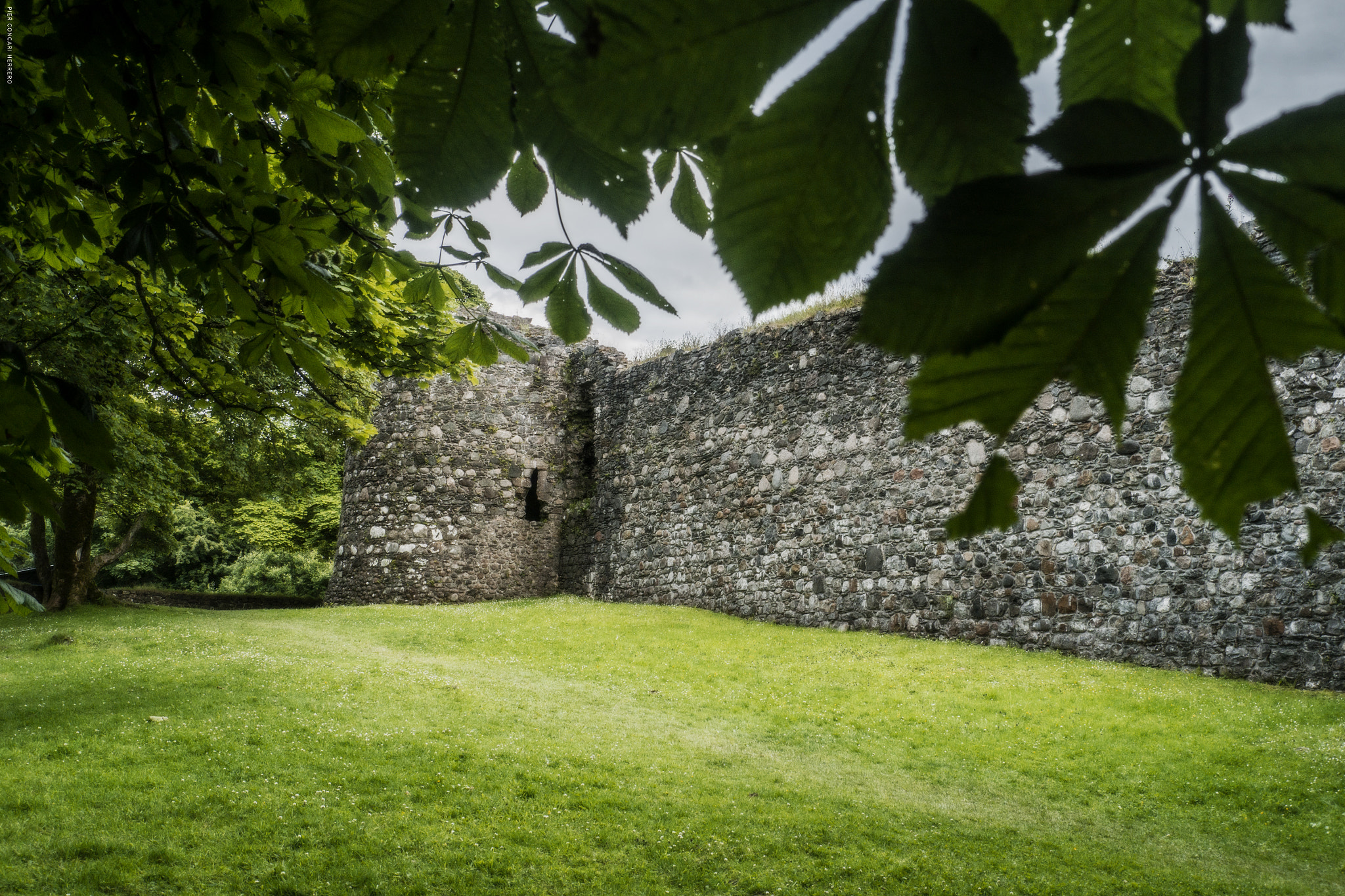 Panasonic Lumix DMC-GH2 sample photo. The wall photography