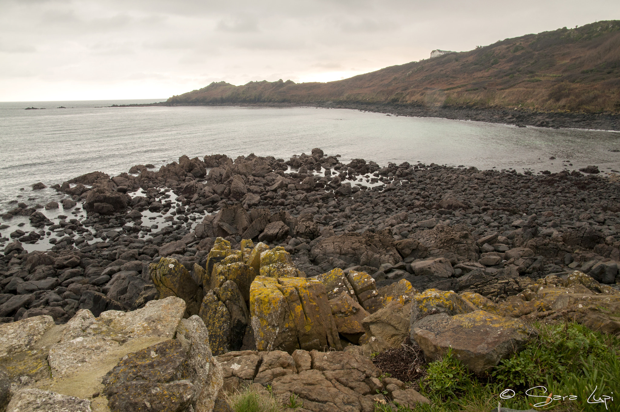 Nikon D5000 sample photo. Speck of yellow photography