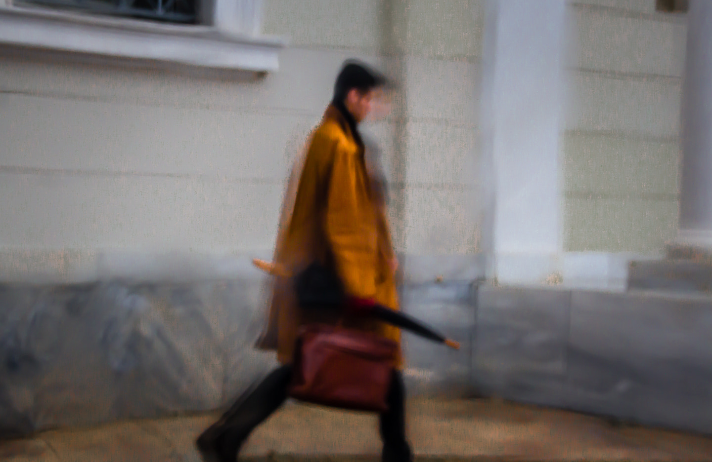 Sigma 18-250mm F3.5-6.3 DC OS HSM sample photo. The man with the briefcase photography