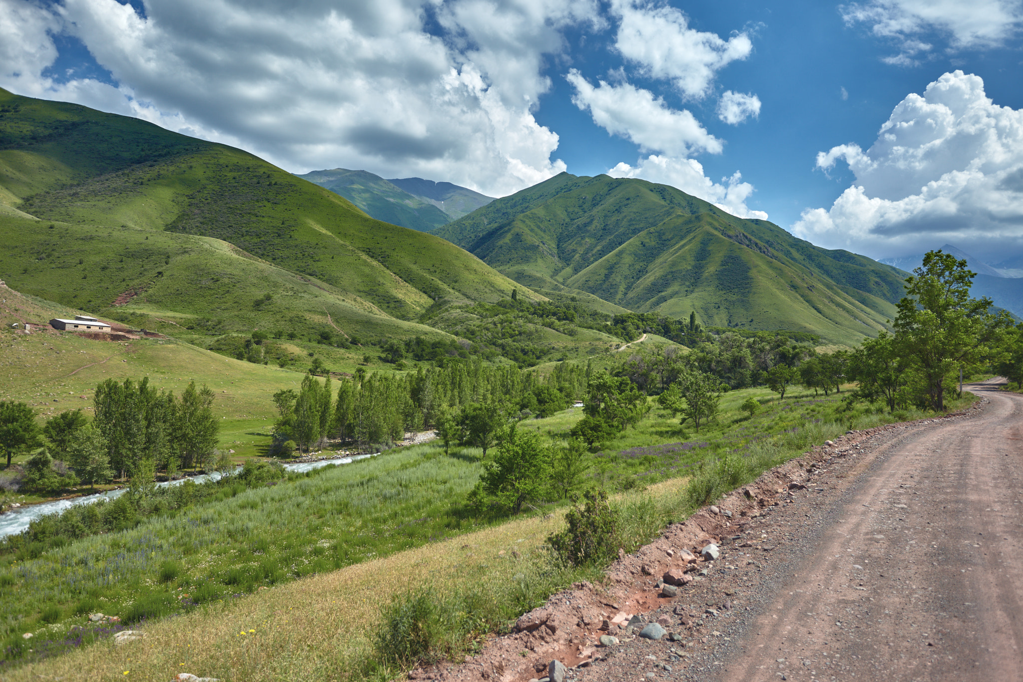 Canon EF 100mm F2.8L Macro IS USM sample photo. Kyrgyzstan photography