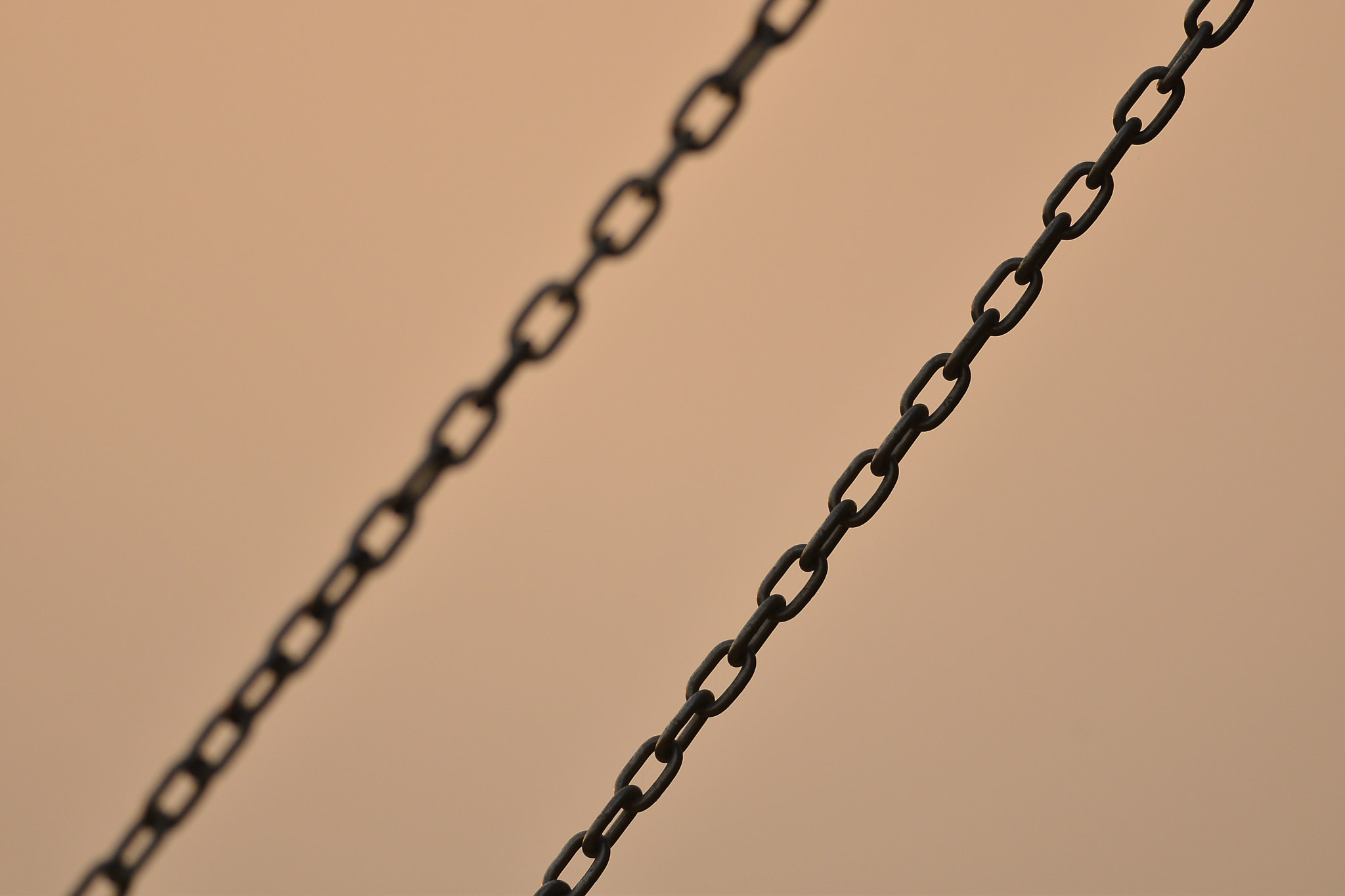Nikon D600 + Nikon AF-S Nikkor 300mm F4D ED-IF sample photo. Ties that bind photography