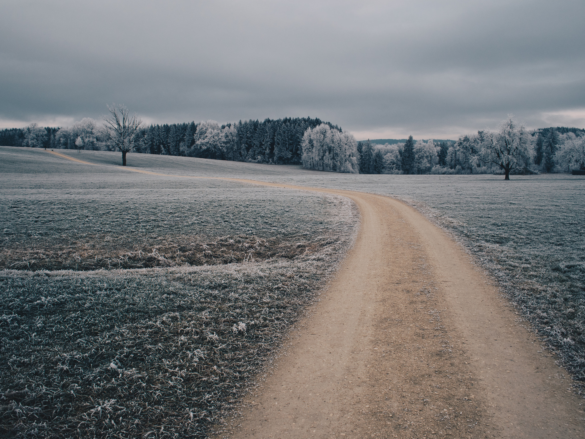 Olympus PEN E-PL7 sample photo. Frosty morning photography