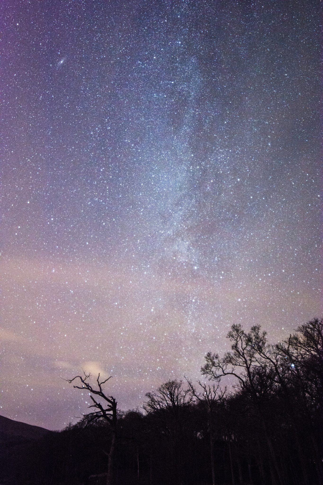 Samyang 14mm F2.8 ED AS IF UMC sample photo. Milky way photography