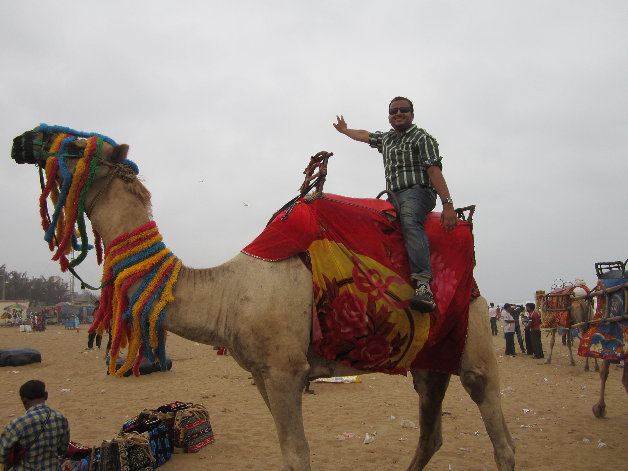 Canon PowerShot ELPH 100 HS (IXUS 115 HS / IXY 210F) sample photo. Enjoyment with camel photography