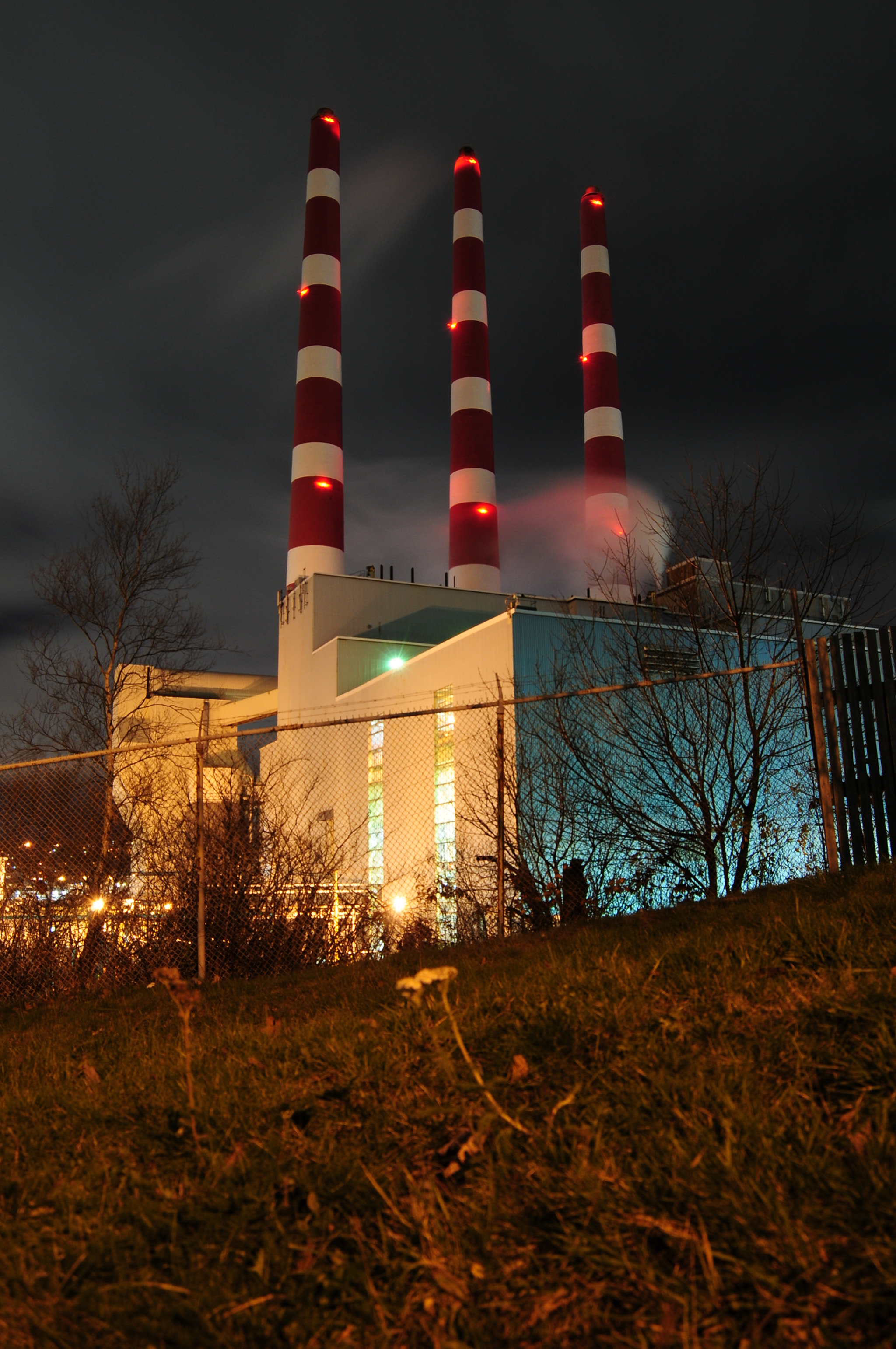Nikon D300 sample photo. Powerplant photography