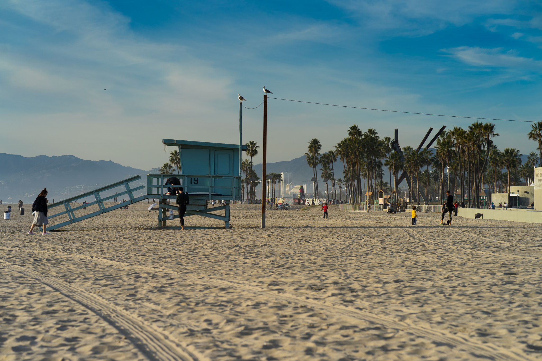 ZEISS Batis 85mm F1.8 sample photo. Steven seagull doing baywatch at venice beach photography