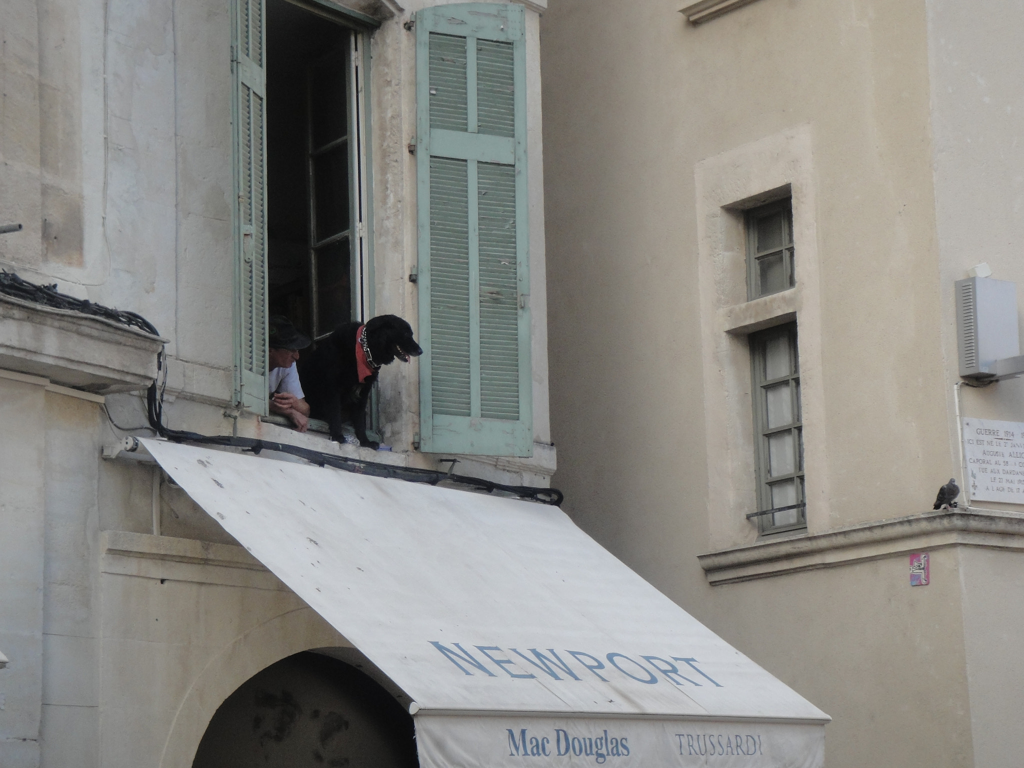 Sony DSC-TX1 sample photo. Man and dog looking out of window - southern franc photography