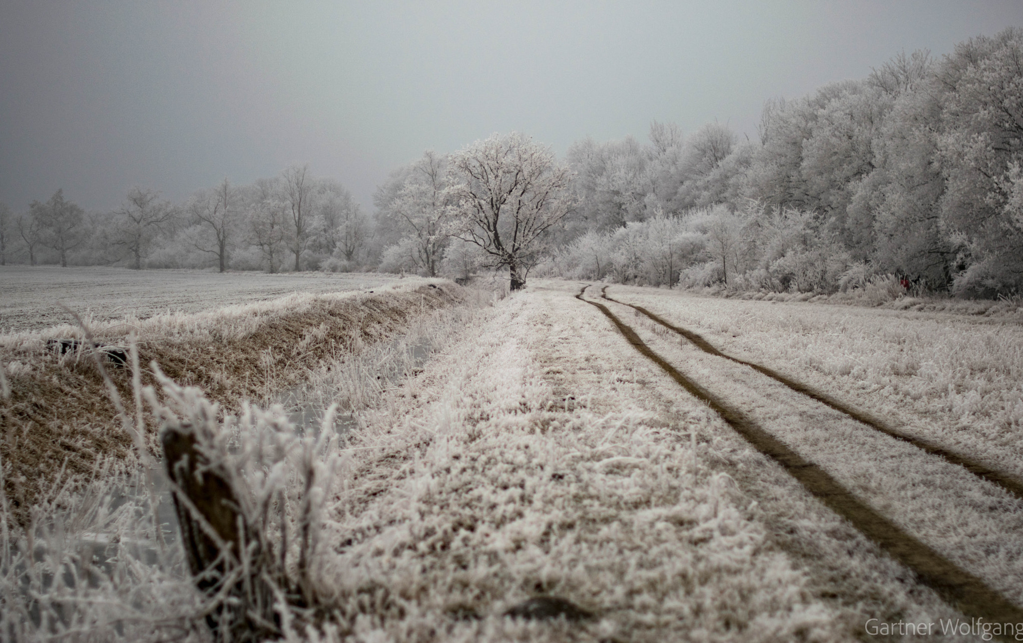 Nikon D3300 + Nikon AF-S Nikkor 50mm F1.4G sample photo. Winter without snow photography