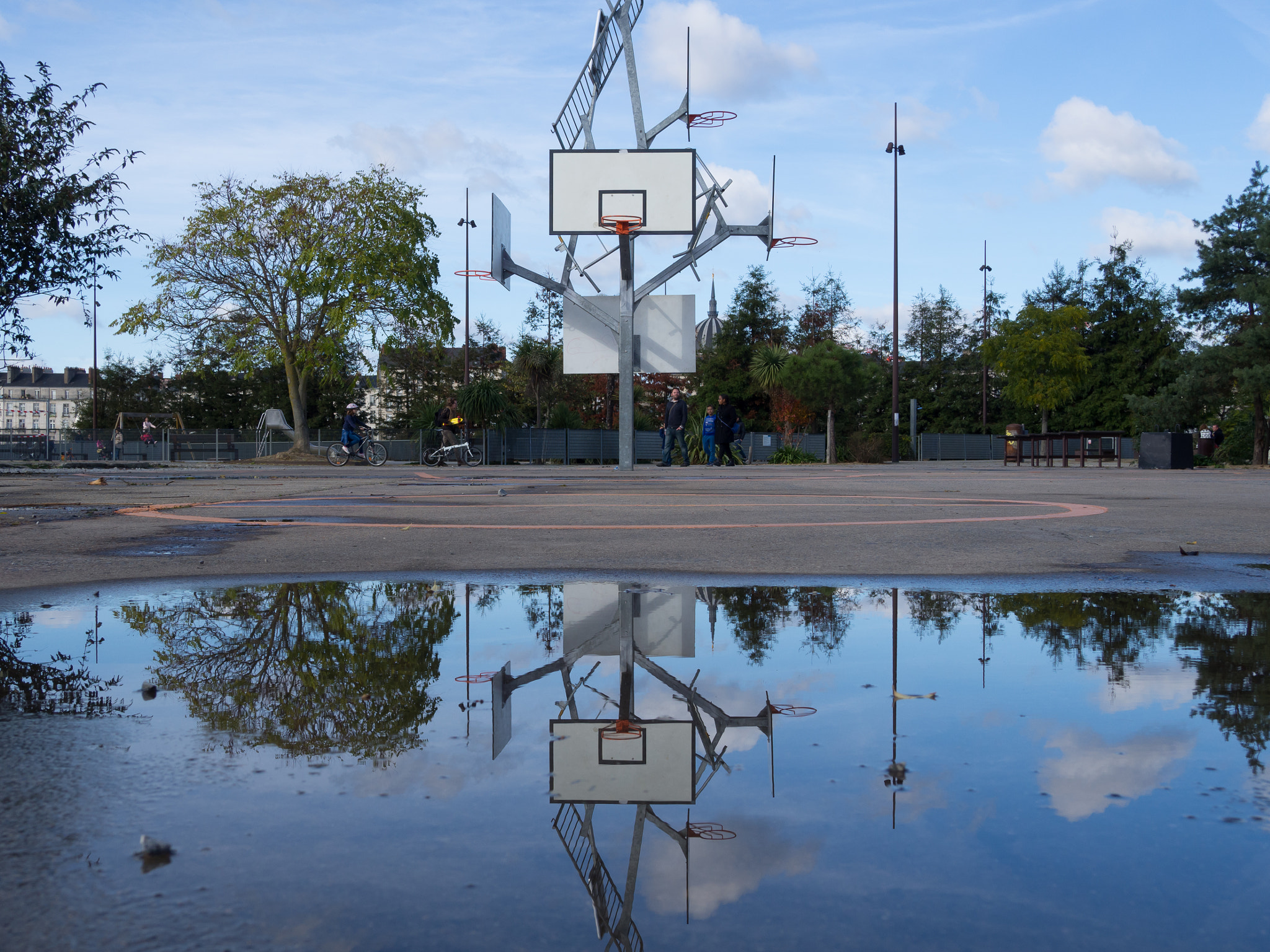 Olympus M.Zuiko Digital 14-42mm F3.5-5.6 II R sample photo. The basket tree photography