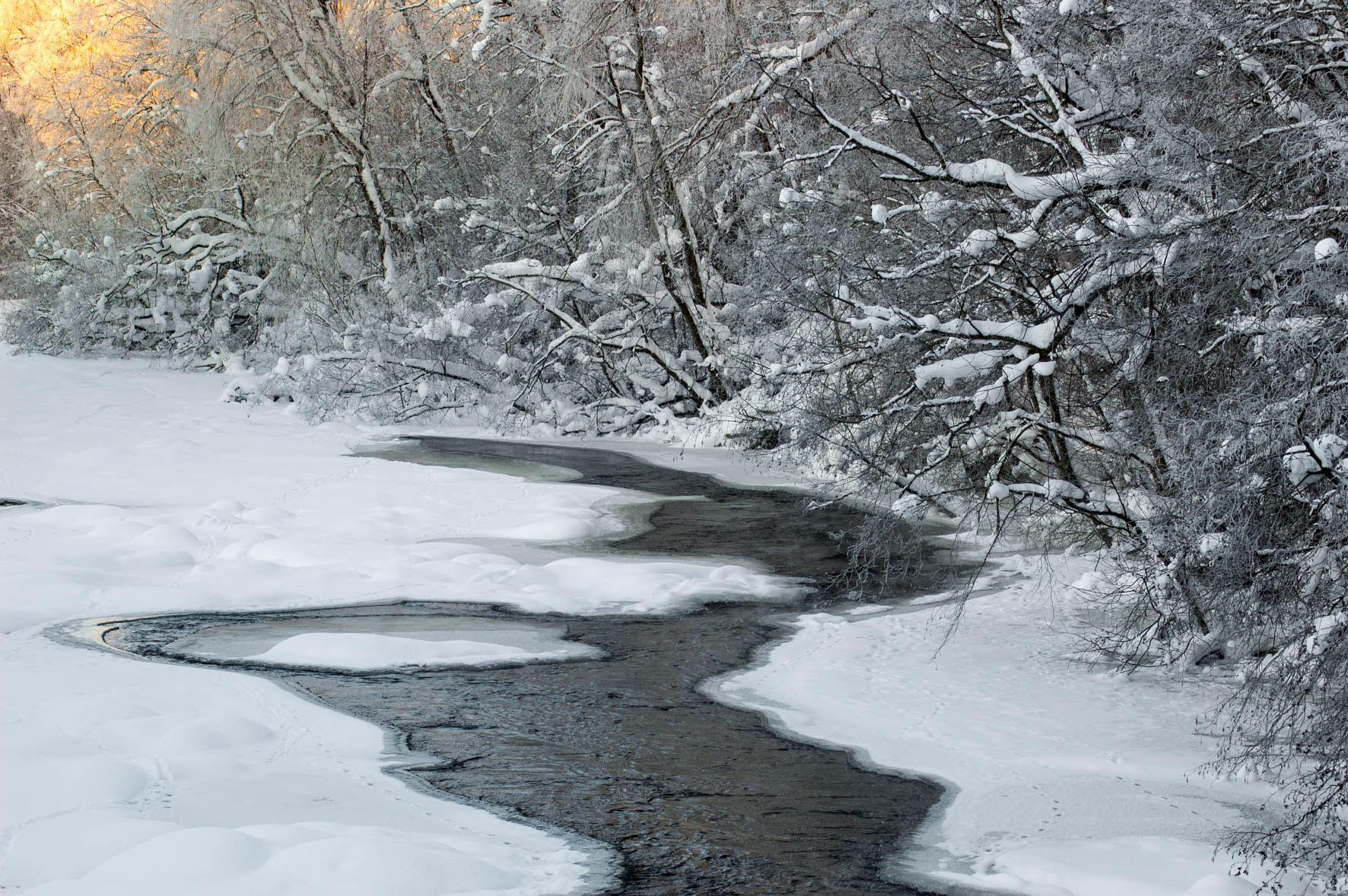 Nikon D50 sample photo. Frozen river photography
