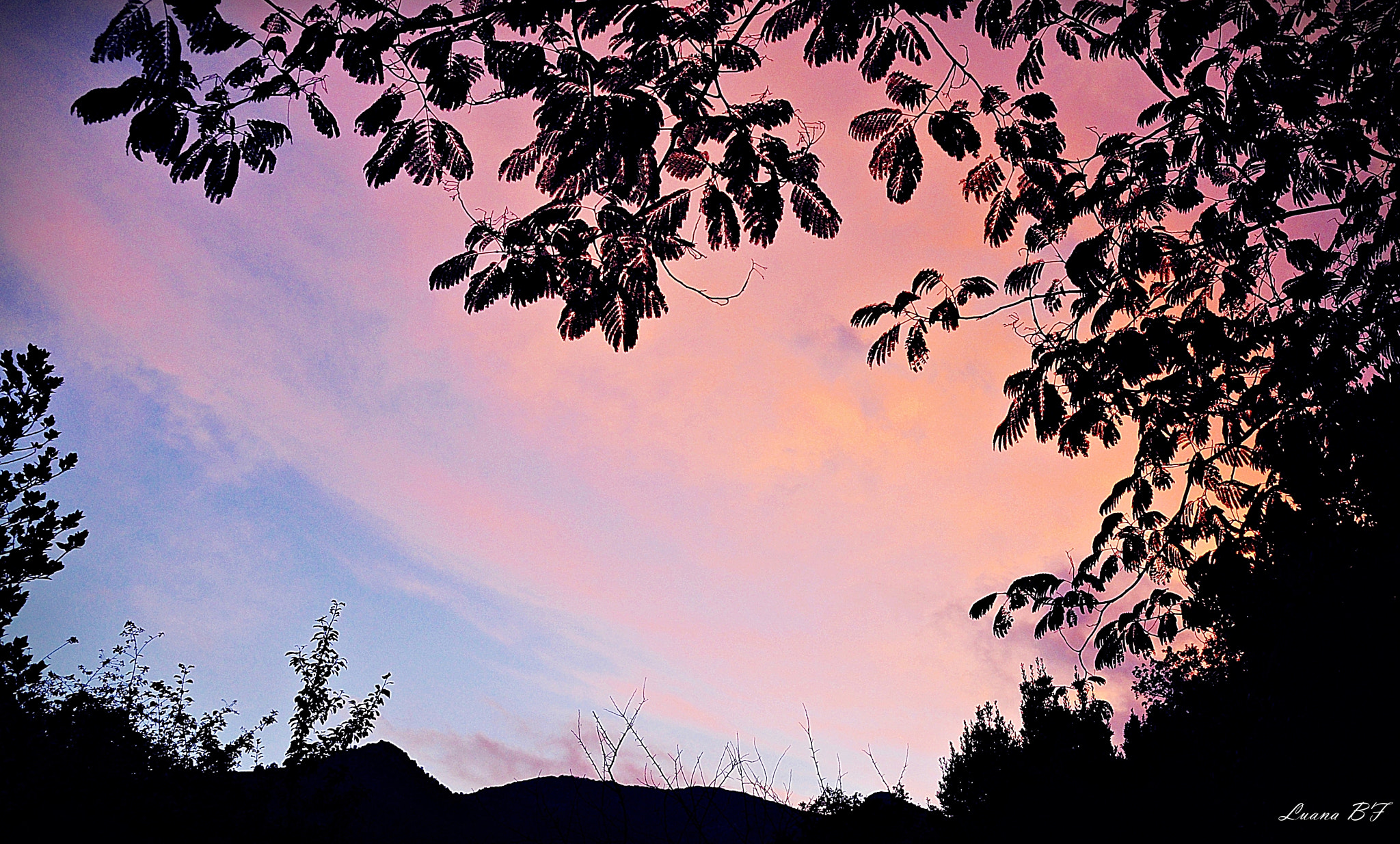 Nikon D300 + Sigma 17-70mm F2.8-4.5 DC Macro Asp. IF sample photo. Pink sky photography