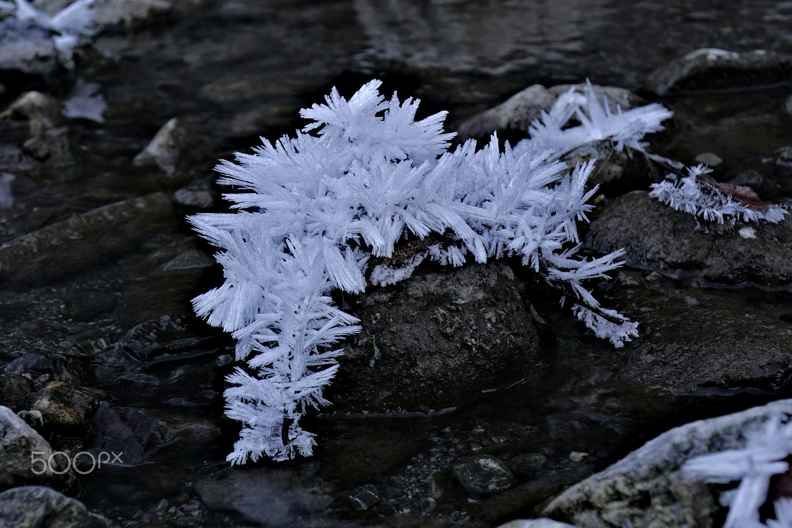 Sony DT 16-105mm F3.5-5.6 sample photo. It´s cold photography