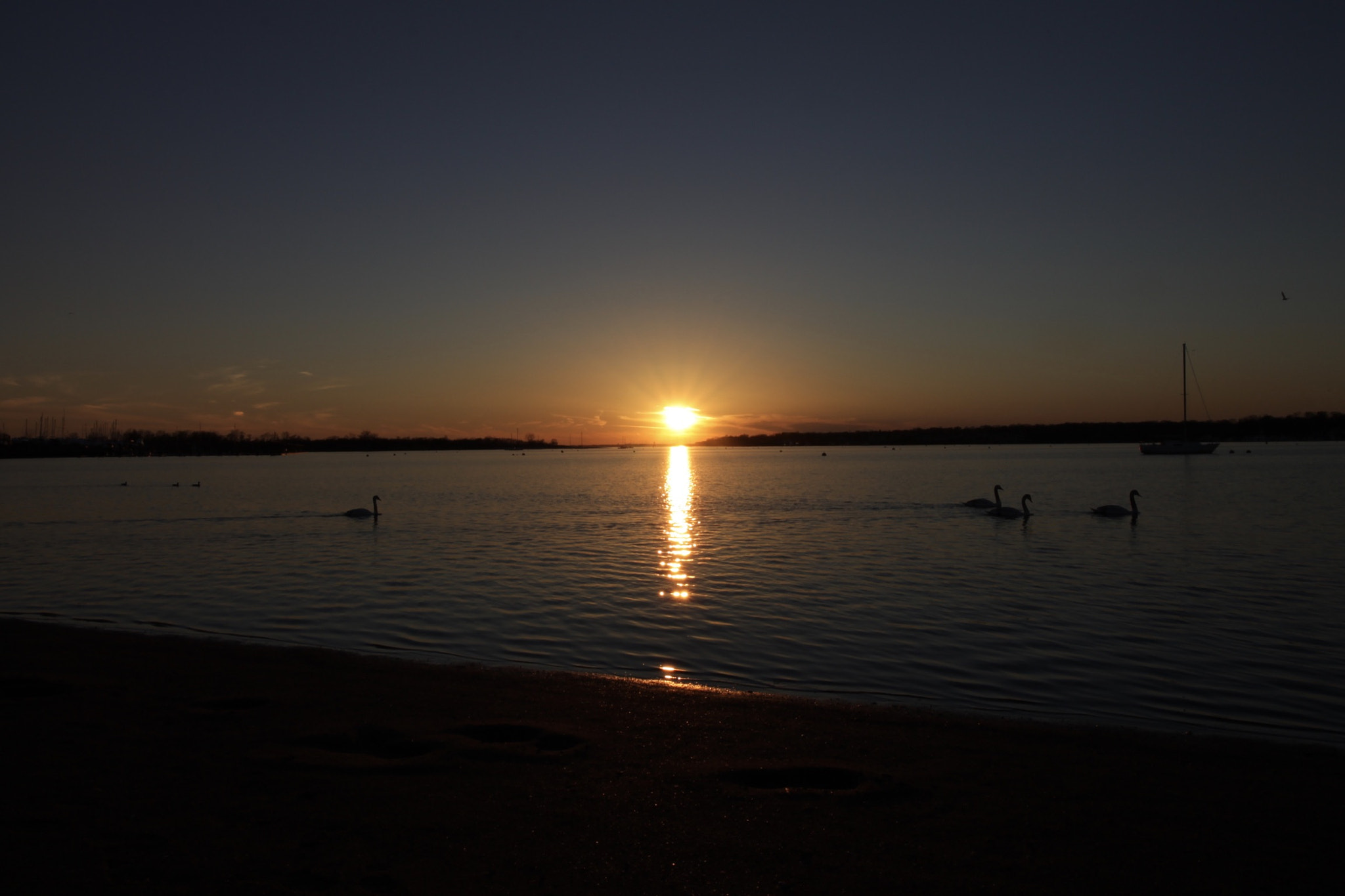 Canon EOS 1100D (EOS Rebel T3 / EOS Kiss X50) sample photo. Park at great kills,  staten island ny photography