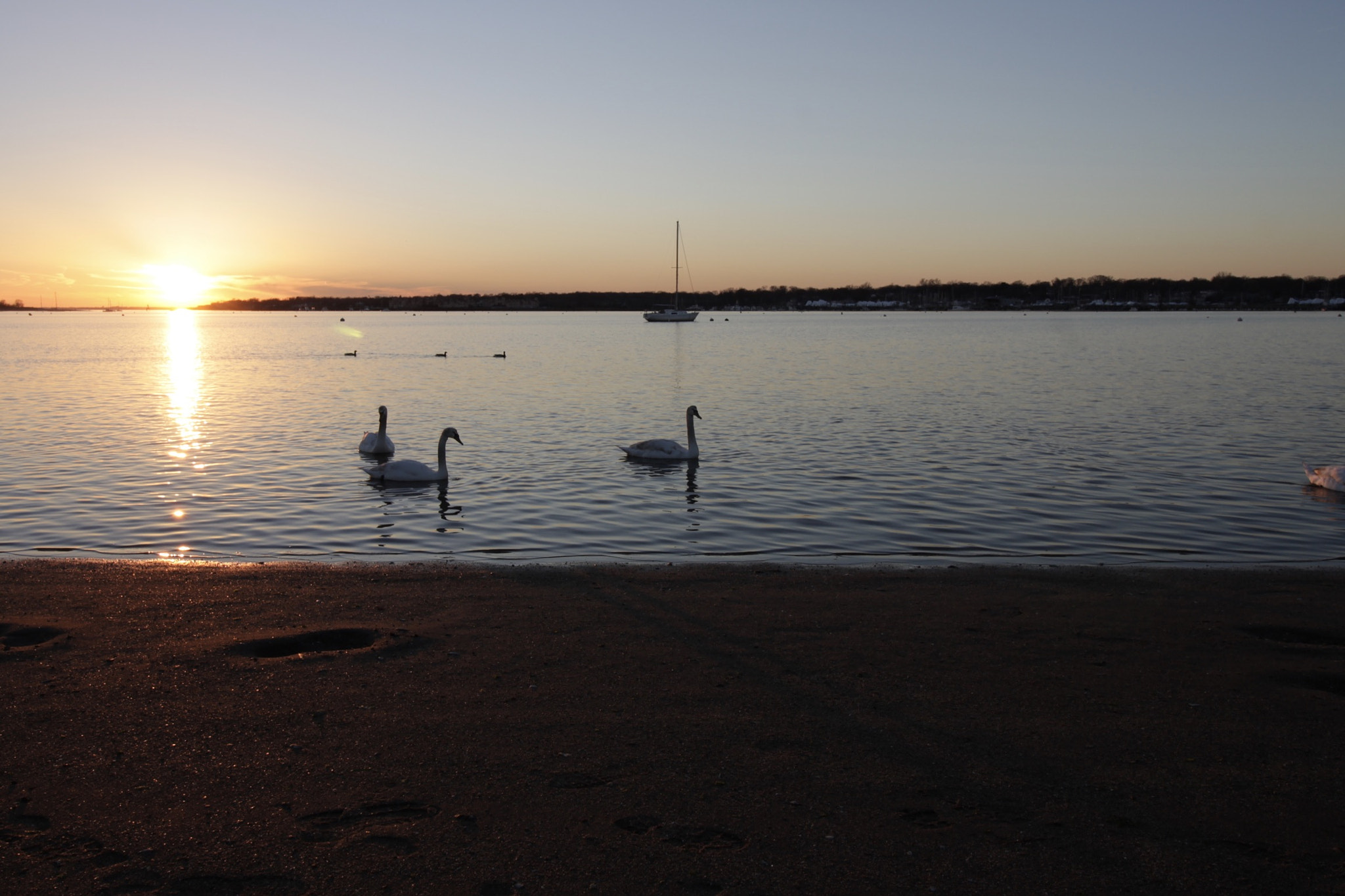 Canon EOS 1100D (EOS Rebel T3 / EOS Kiss X50) sample photo. Park at great kills,  staten island ny photography