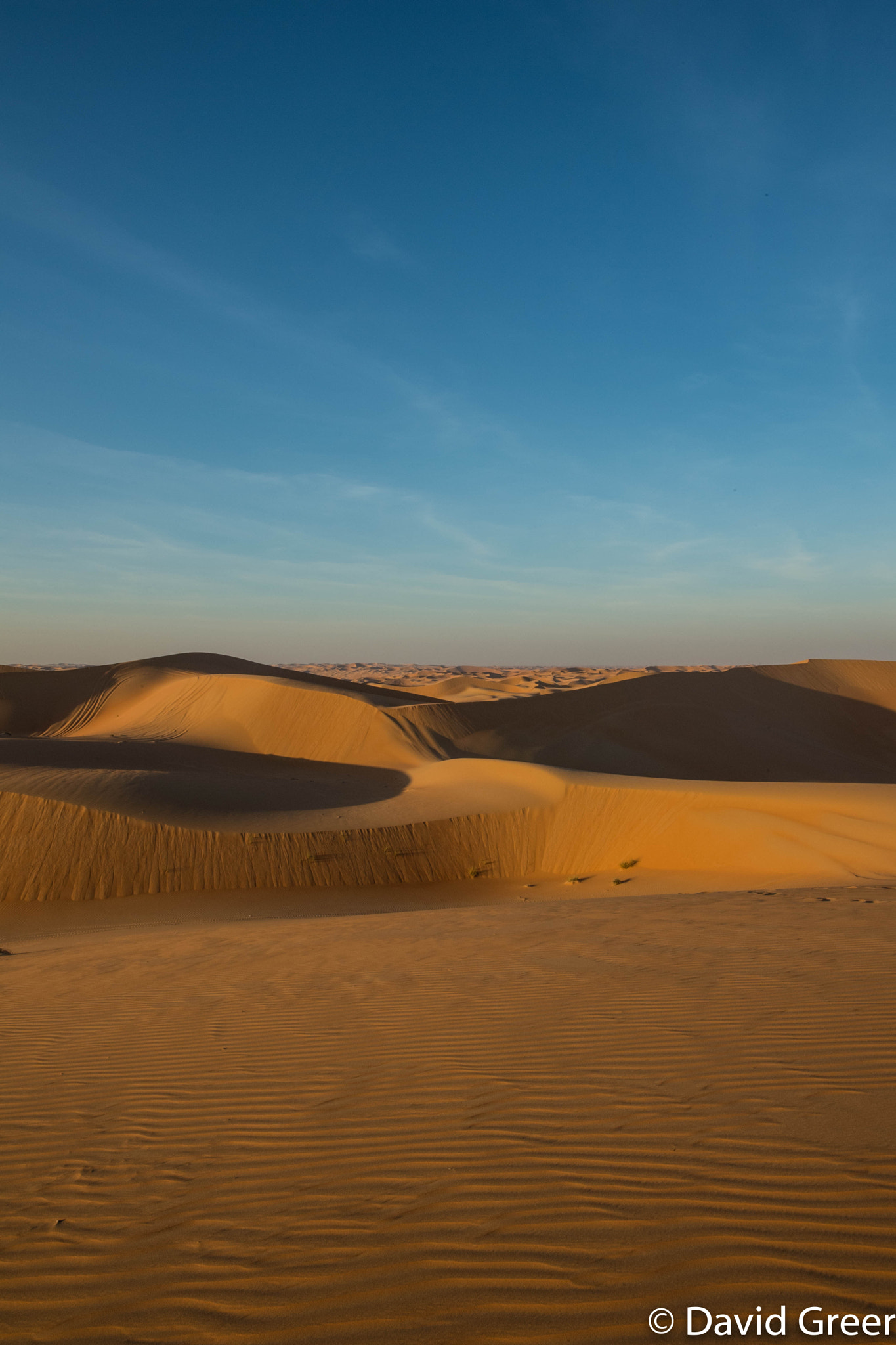 Nikon D5 sample photo. Liwa dunes photography