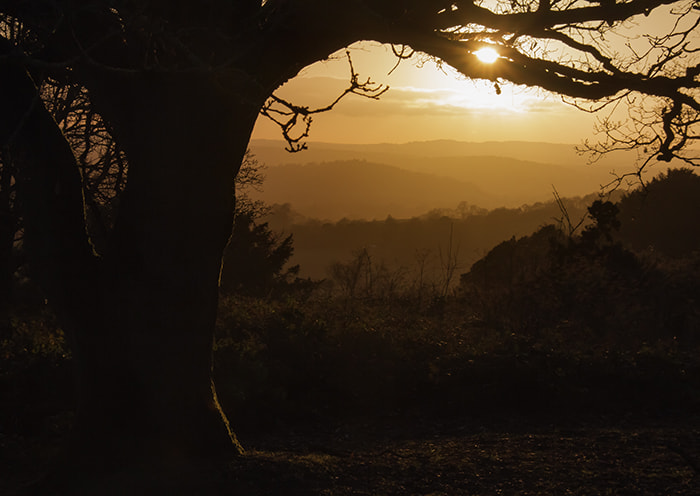 Sigma 18-200mm f/3.5-6.3 DC OS sample photo. Newlands photography