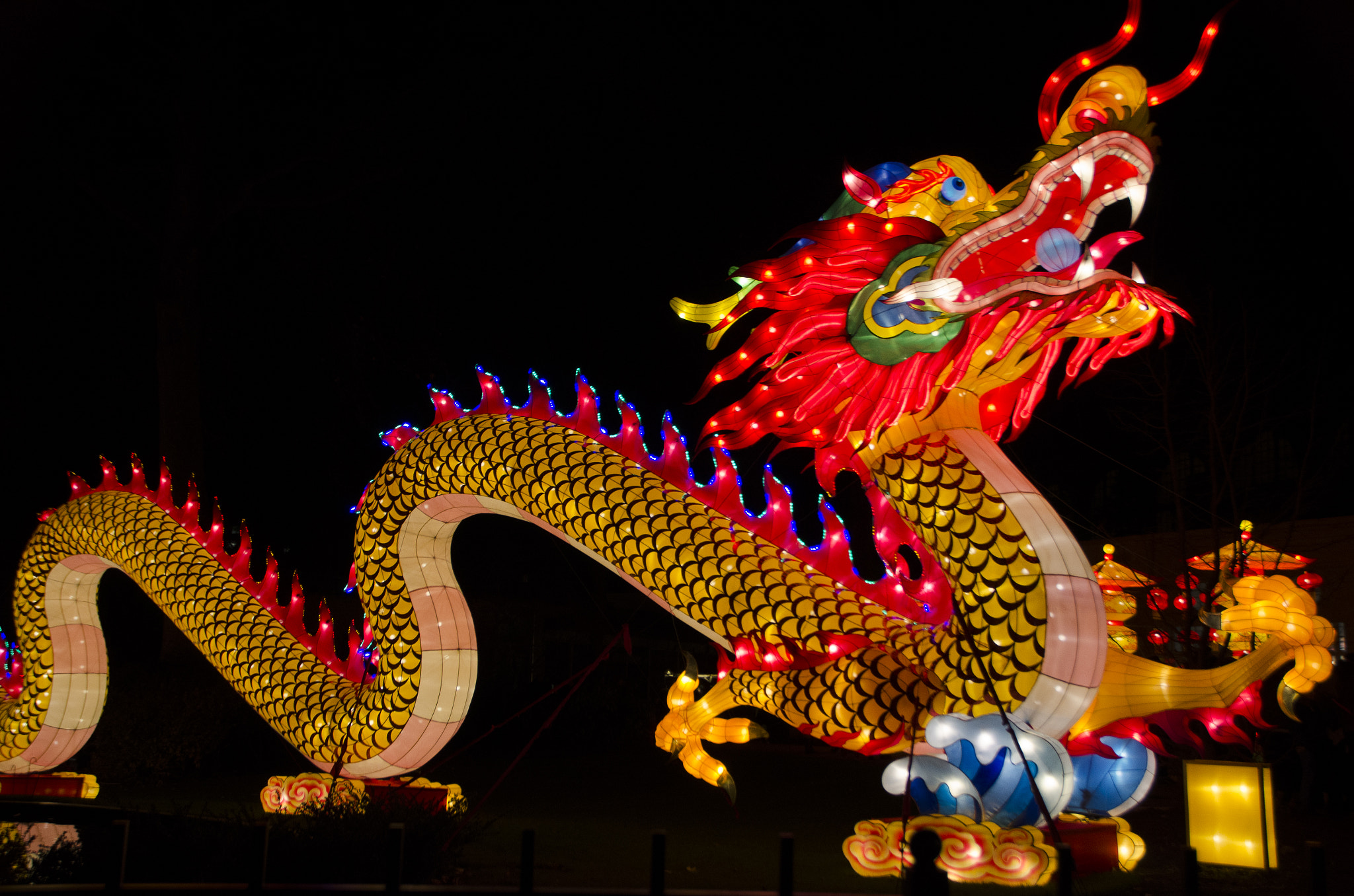 Nikon D7000 + Sigma 18-200mm F3.5-6.3 II DC OS HSM sample photo. China light festival 2016 - a dragon photography