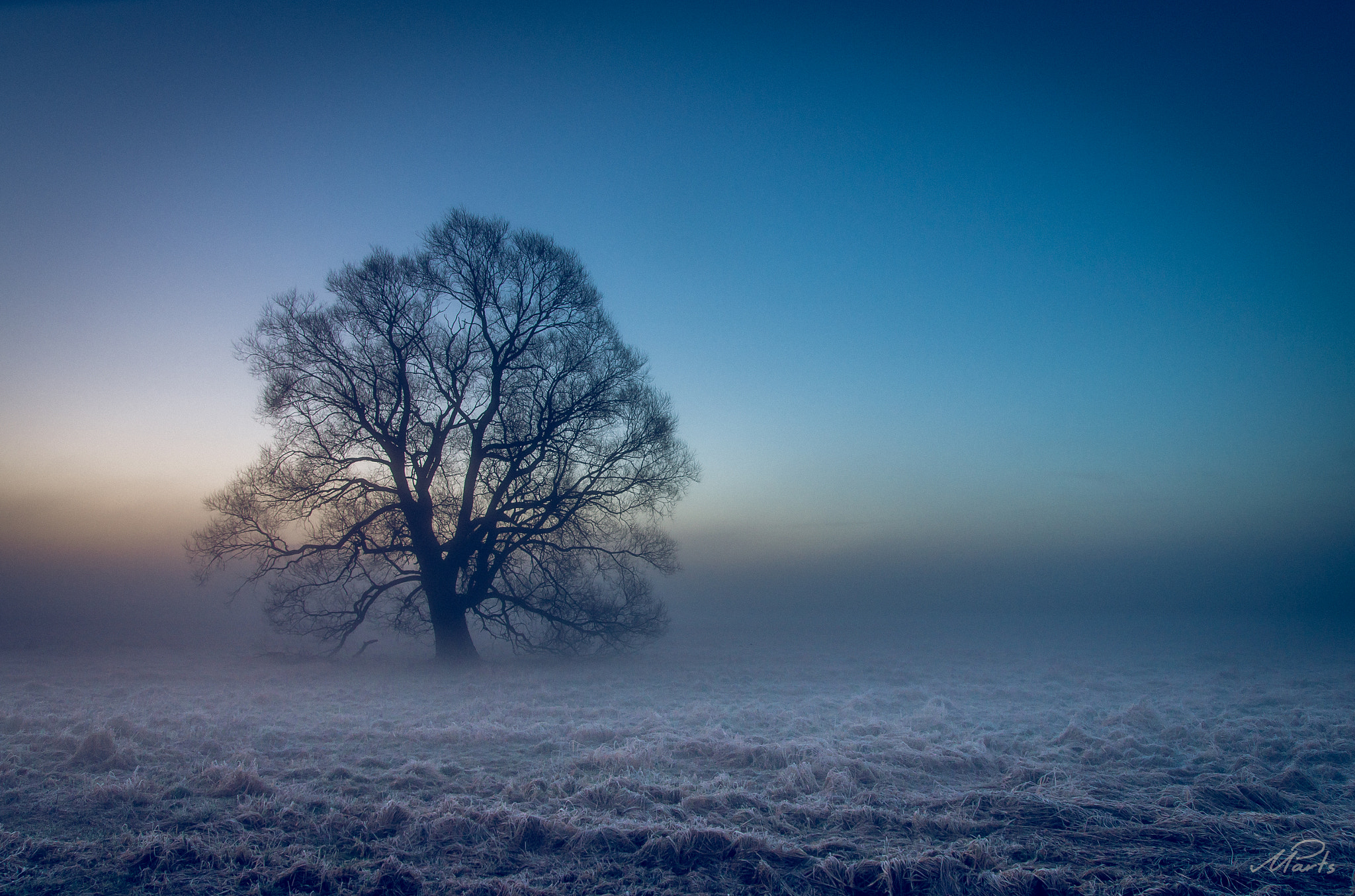 Pentax K-5 II sample photo. A foggy morning photography
