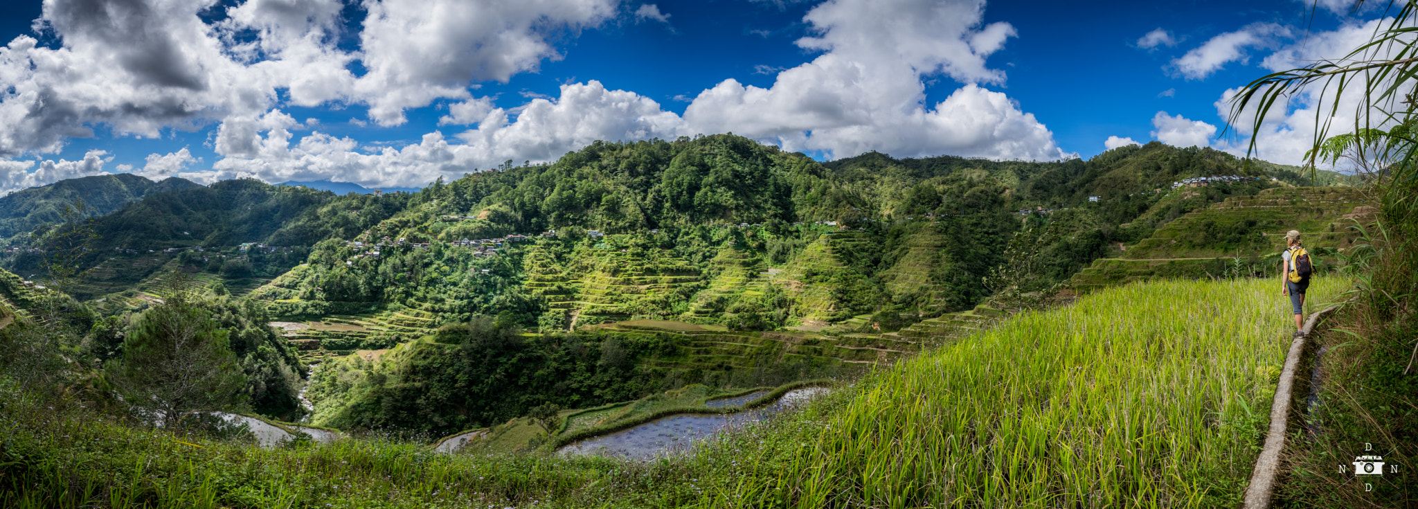 Pentax K-3 II sample photo. Rice terraces hike photography