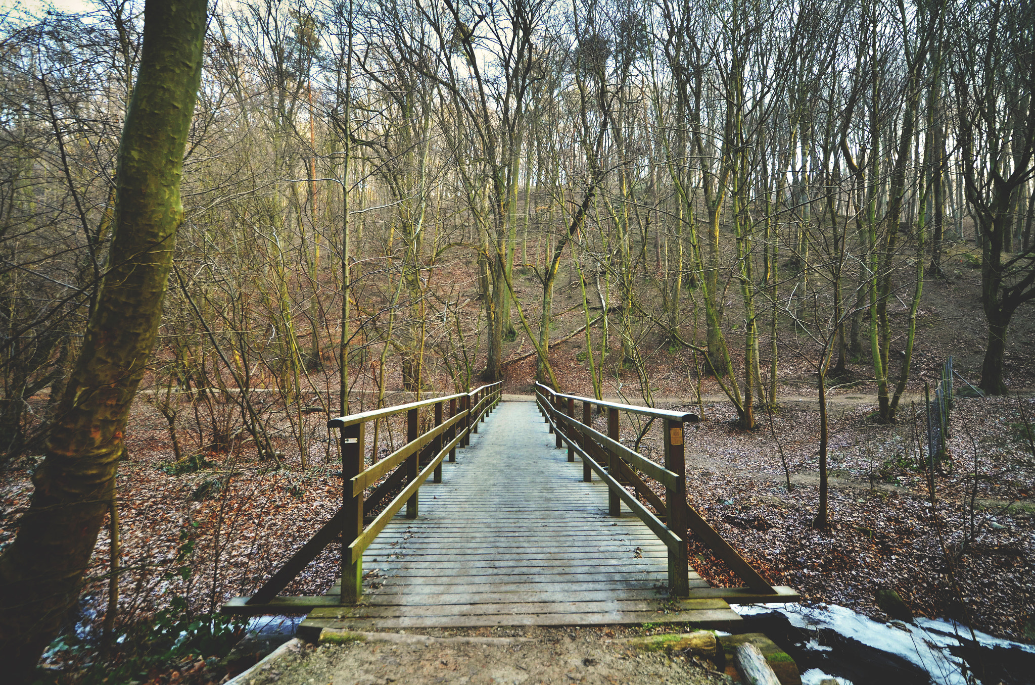 Samyang 14mm F2.8 ED AS IF UMC sample photo. Slovak nature photography