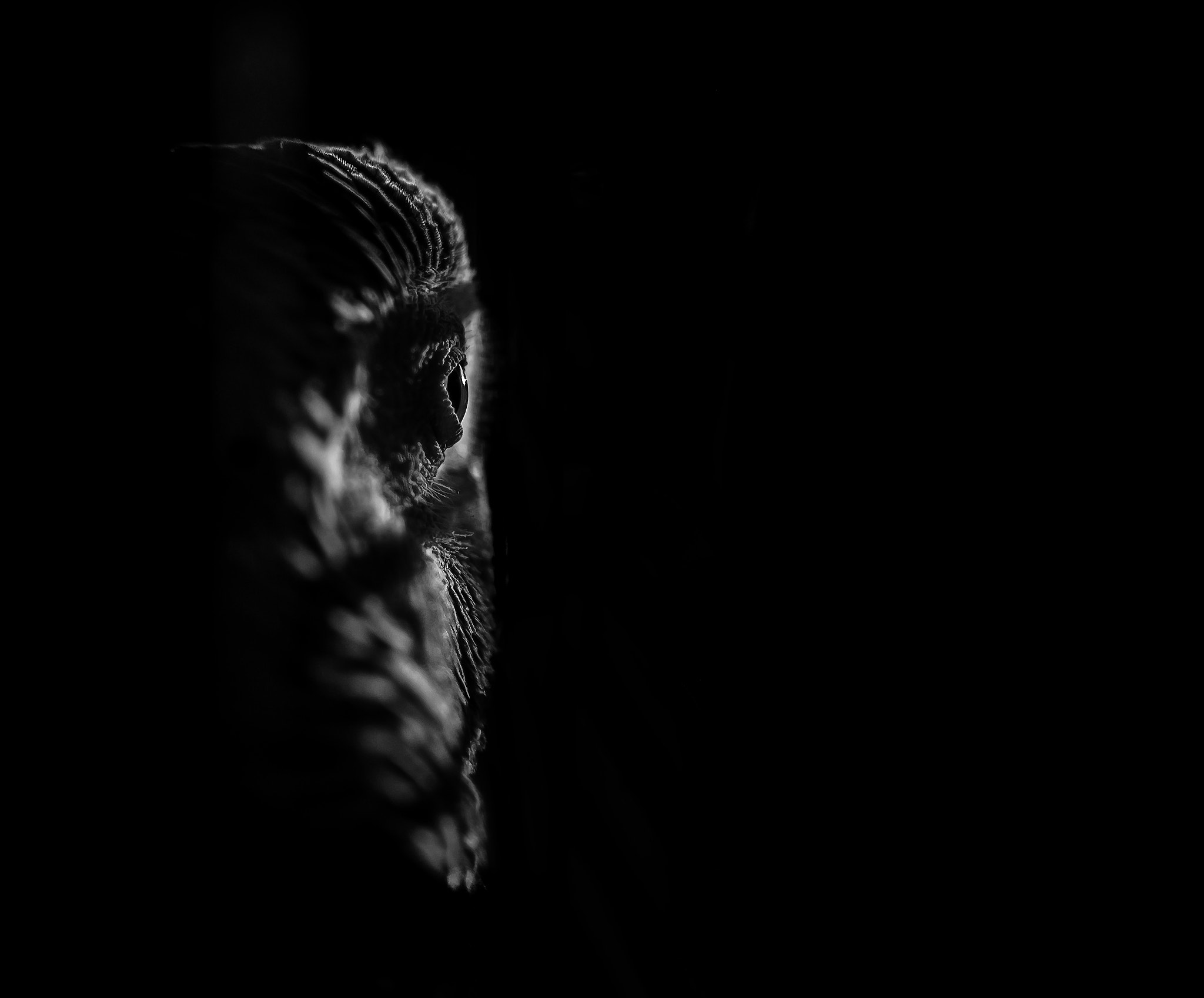ZEISS Touit 32mm F1.8 sample photo. I see you photography