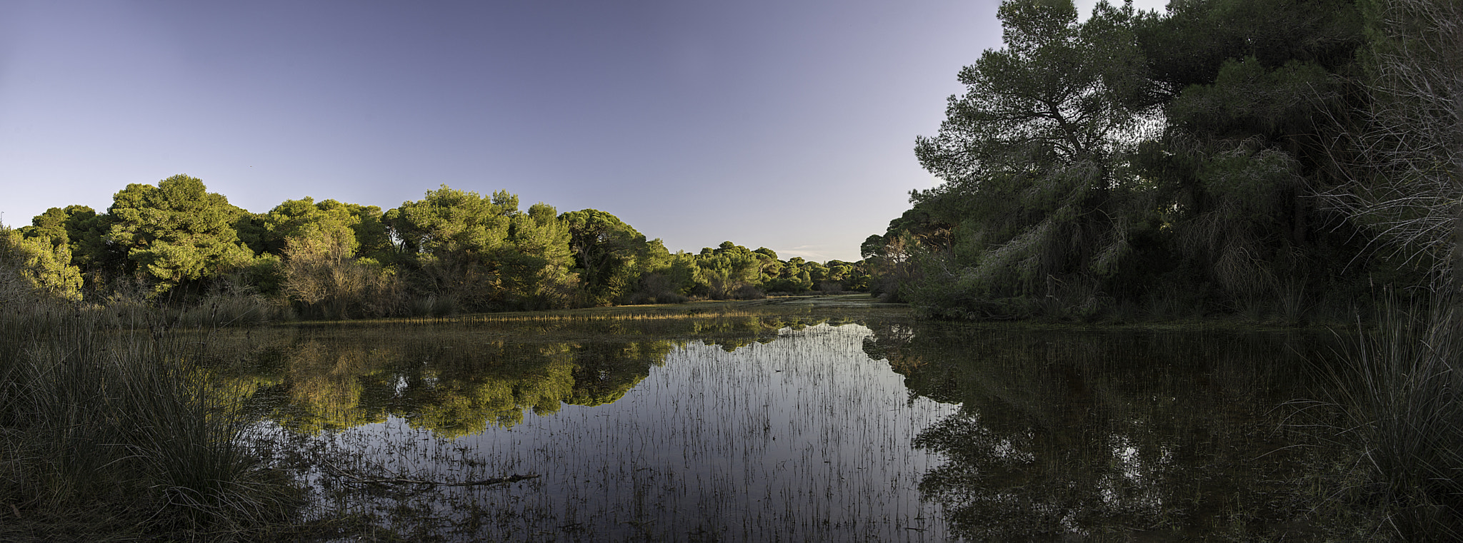 AF Zoom-Nikkor 28-80mm f/3.5-5.6D sample photo. Lake reflection photography