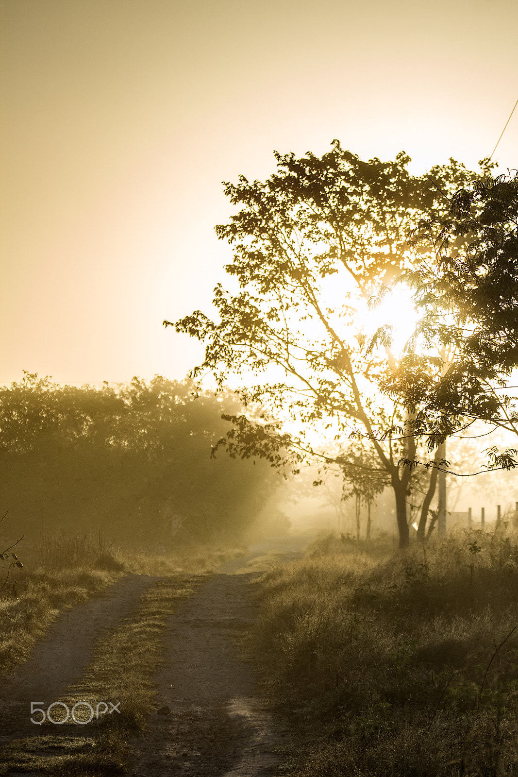 Canon EF 70-300mm F4-5.6 IS USM sample photo. Sunrise at the bike trail. chablecal, yucatán photography