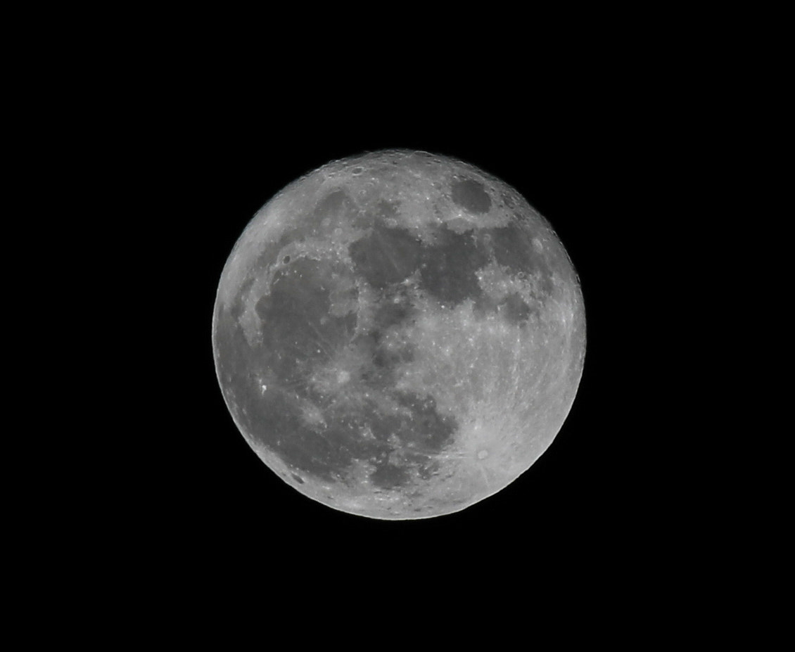 Canon EOS 5D Mark IV + Canon EF 70-300mm F4-5.6 IS USM sample photo. Super moon observed in nov 2016 photography