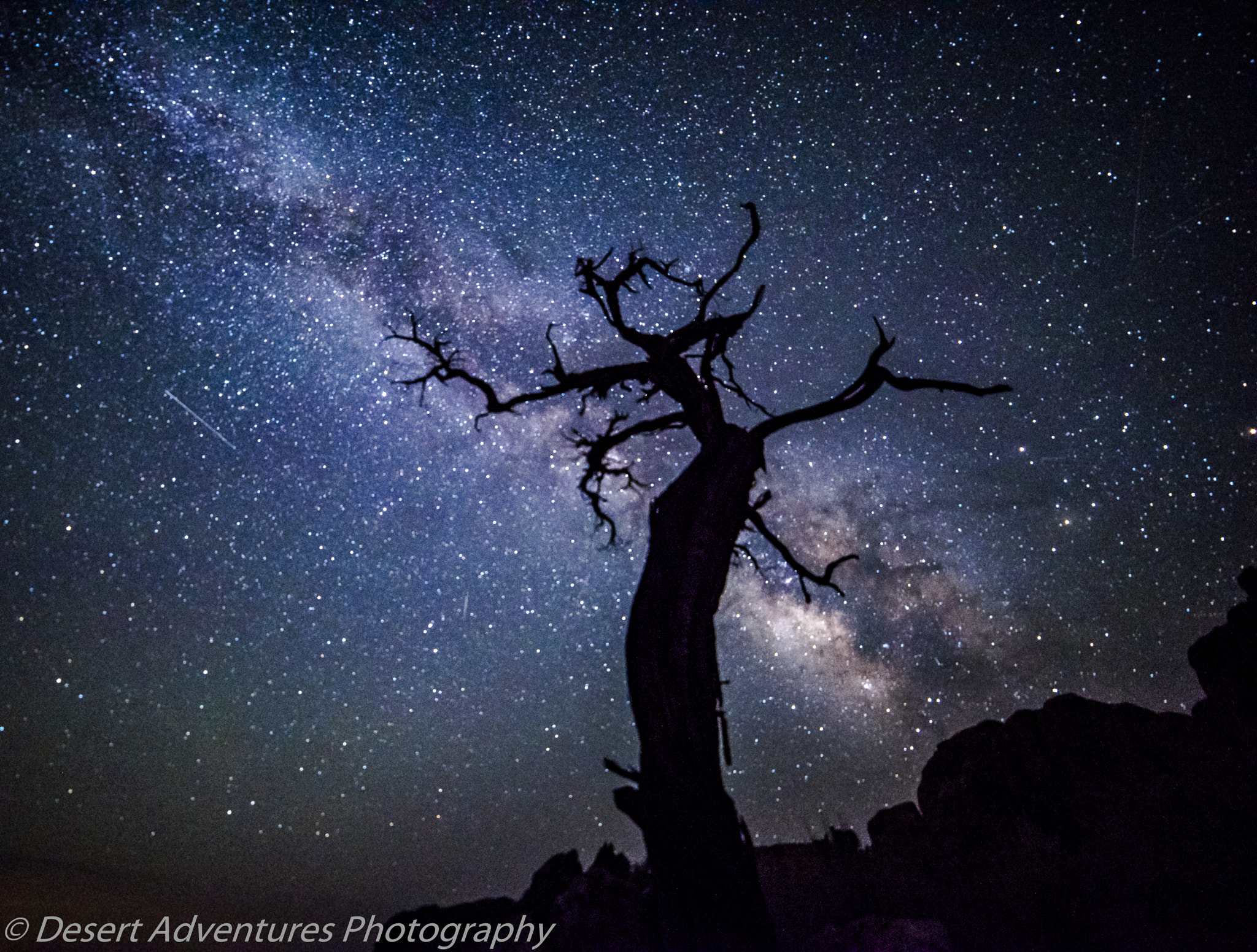 Samyang 14mm F2.8 ED AS IF UMC sample photo. Tree meteor photography