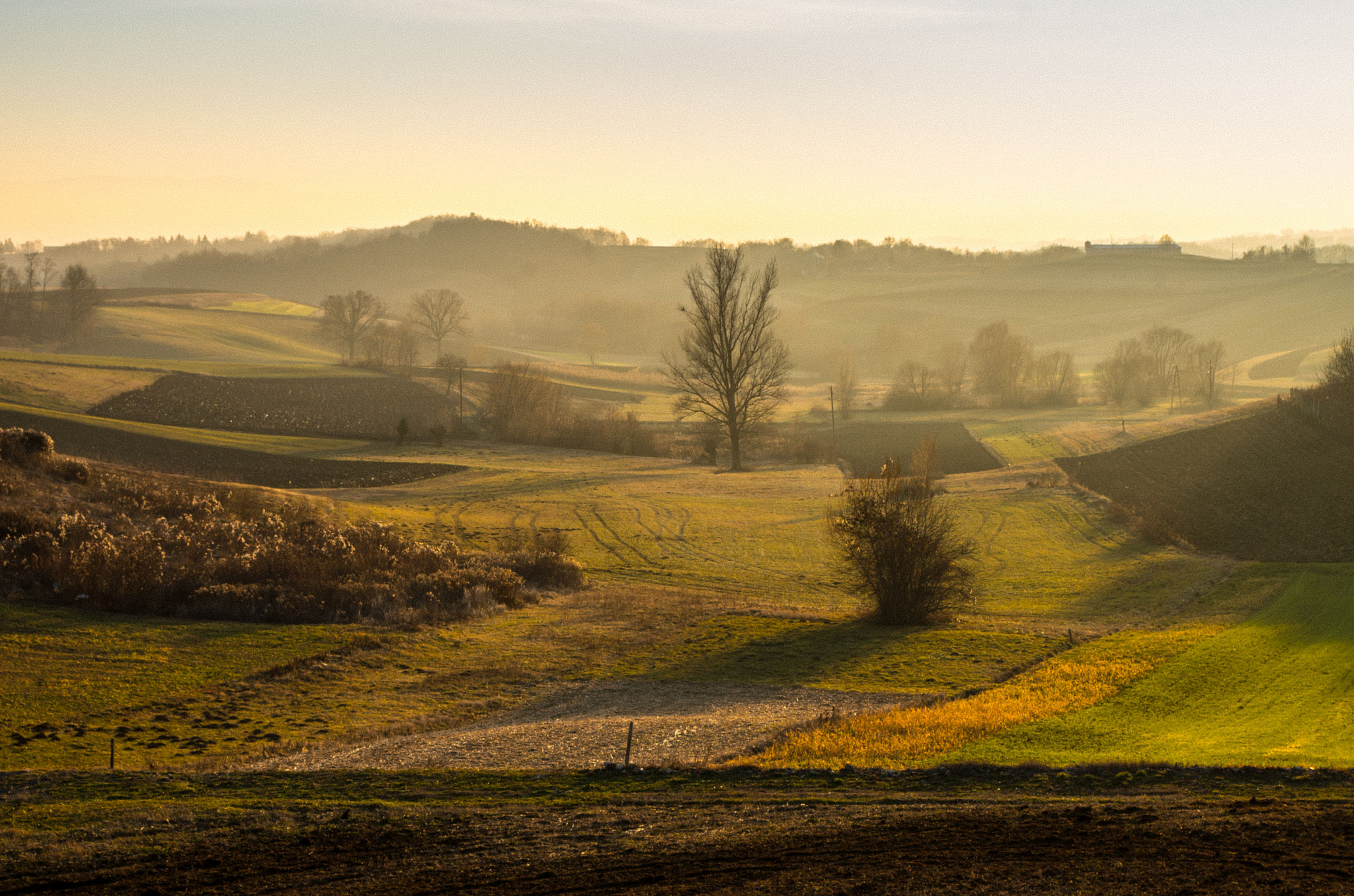 Pentax smc DA 18-55mm F3.5-5.6 AL WR sample photo. Twilight in the field photography