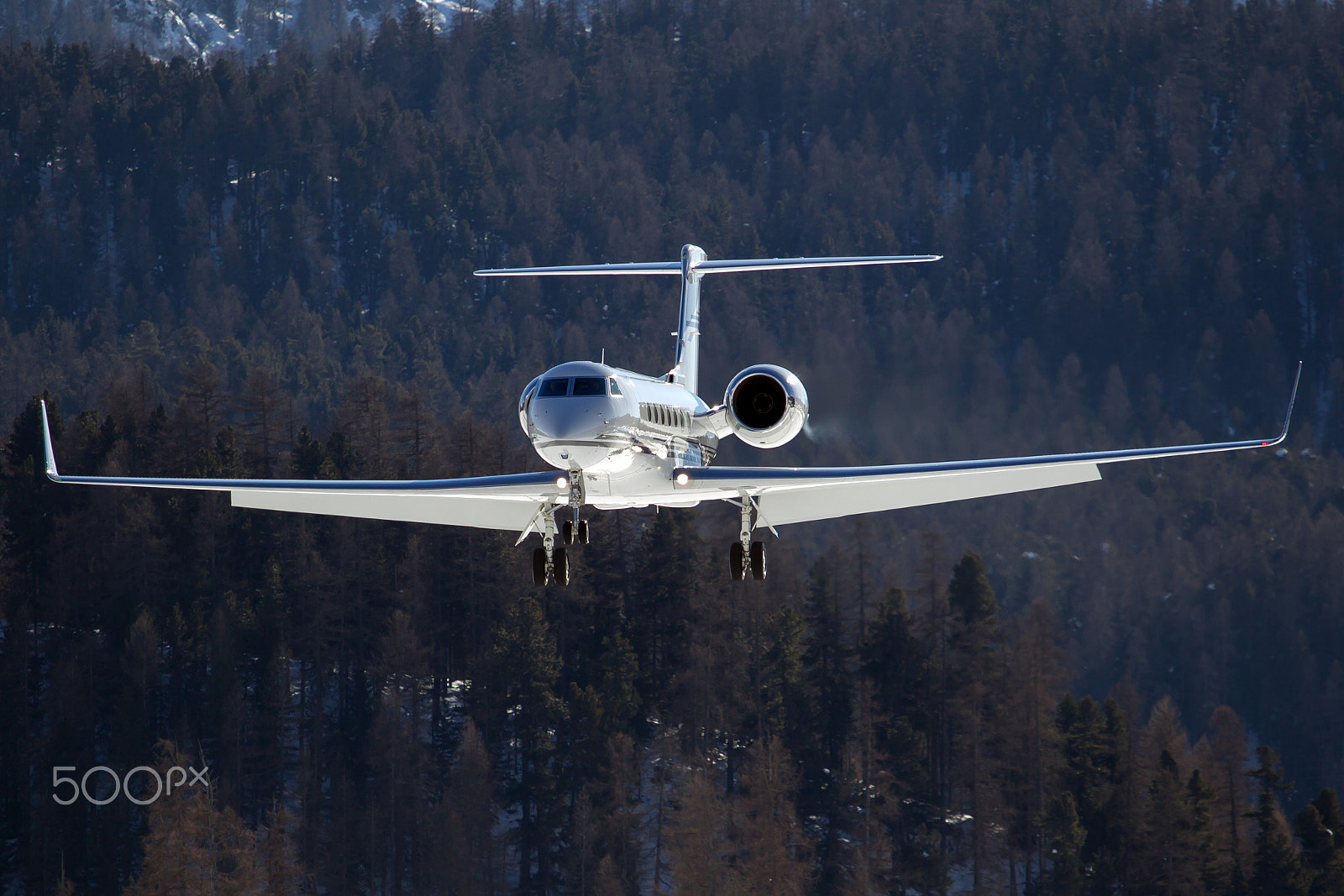 Canon EOS-1D Mark IV sample photo. Gulfstream photography