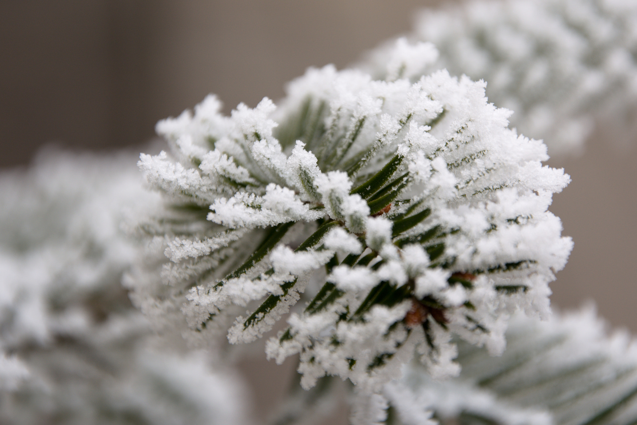 18.00 - 105.00 mm f/3.5 - 5.6 sample photo. Freezing fog photography