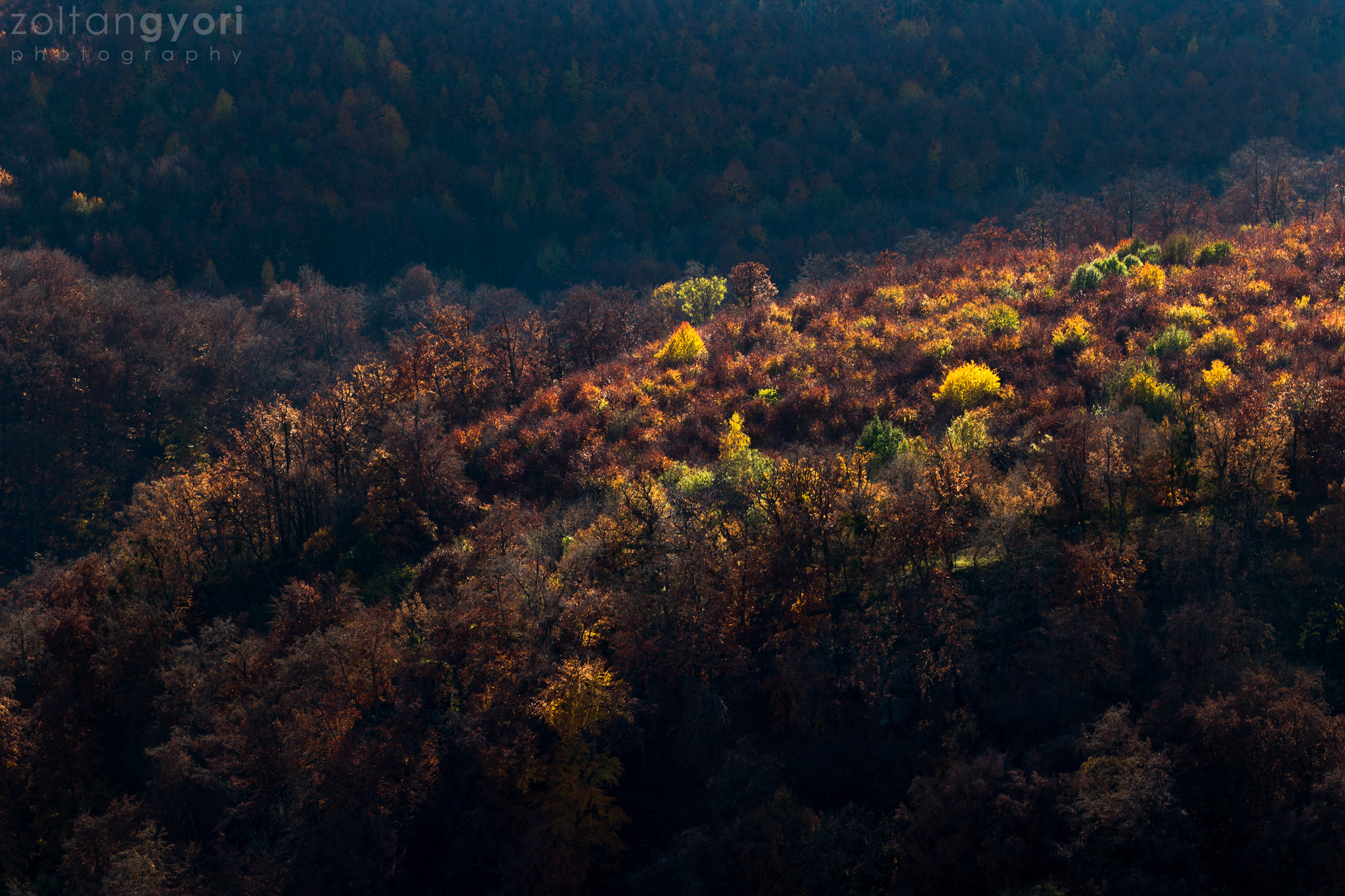 Canon EOS 6D + Sigma 100-300mm f/4 sample photo. November photography