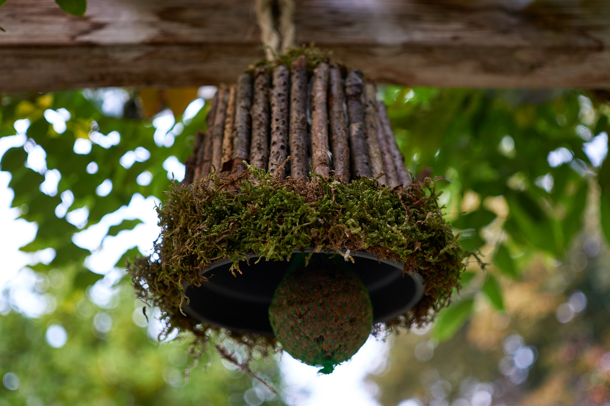 Sigma 30mm F2.8 EX DN sample photo. Birds photography