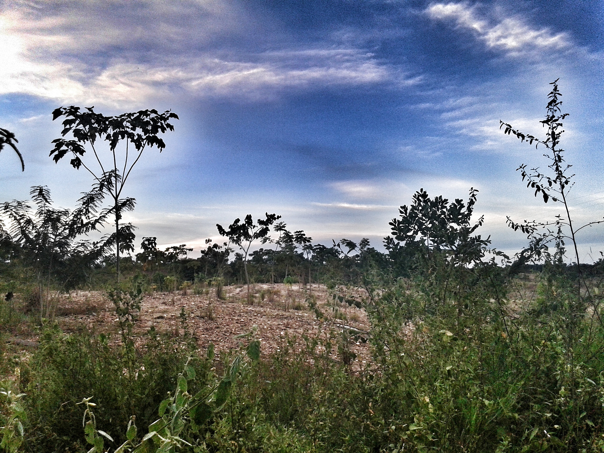 Samsung Galaxy Core sample photo
