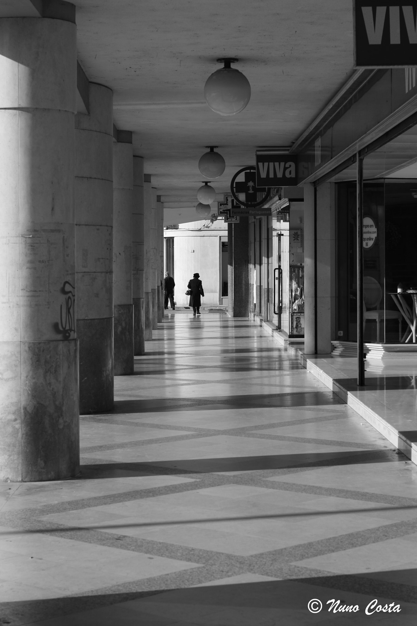Canon EOS 40D + Canon EF 50mm F1.8 STM sample photo. Img photography