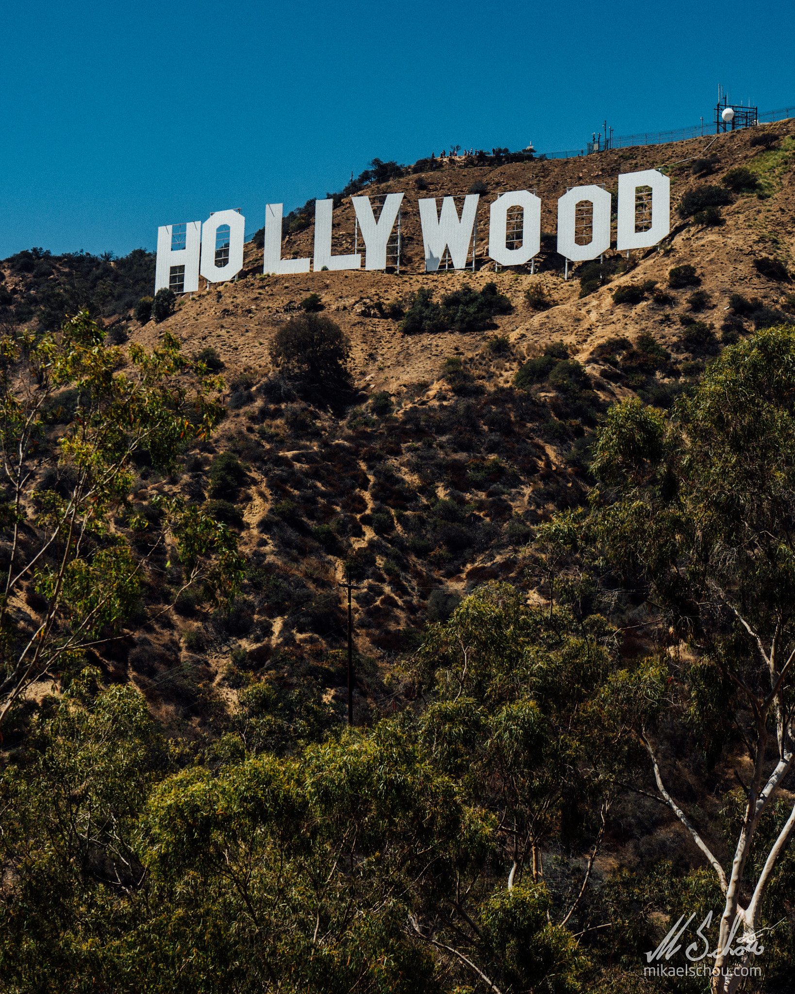 Panasonic Leica DG Nocticron 42.5mm F1.2 ASPH OIS sample photo. Hollyweed photography