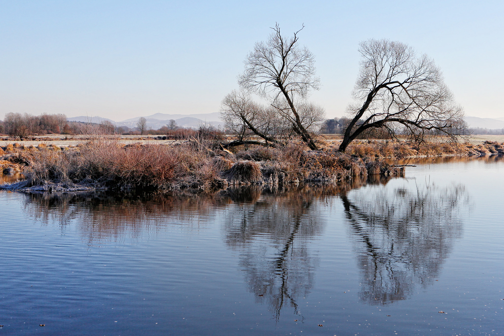 Canon EF 70-210mm f/4 sample photo. Geteilter baum spiegelt sich im regensfluss photography