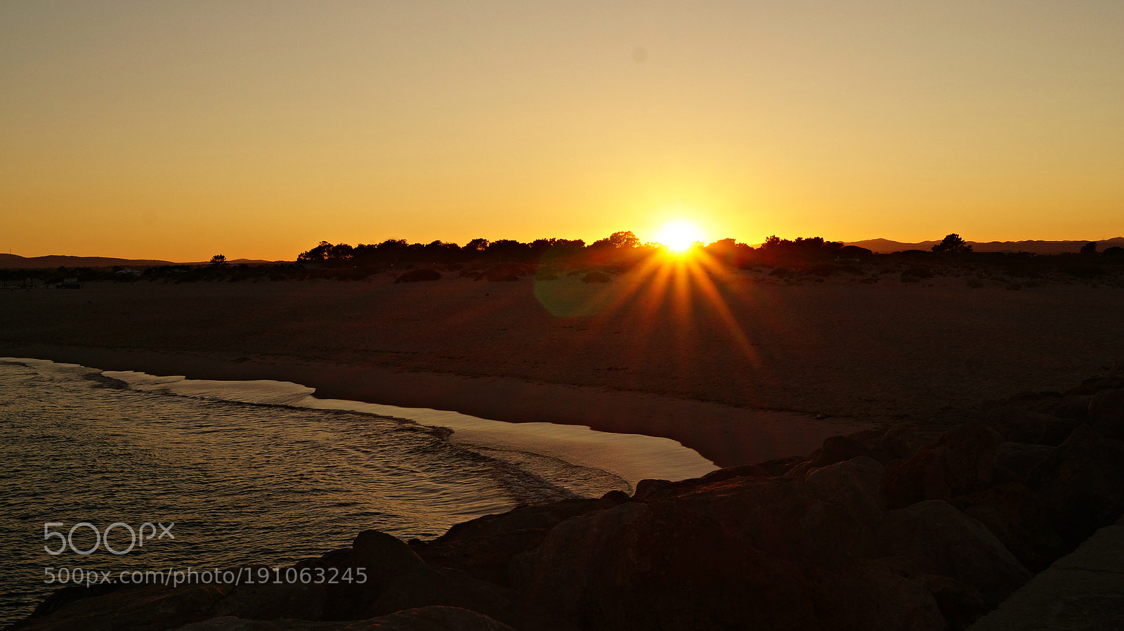 Sony SLT-A58 sample photo. 8.jpg photography