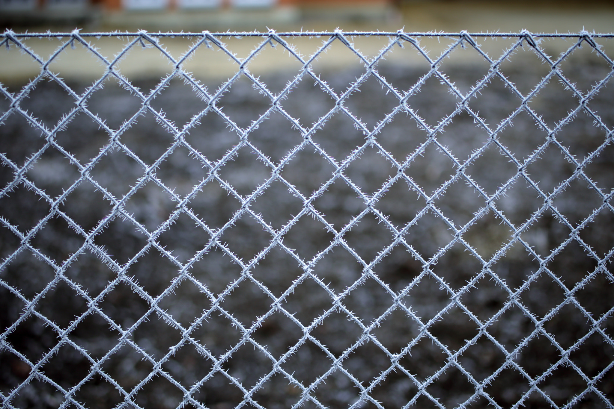 Tamron SP 45mm F1.8 Di VC USD sample photo. Its cold outside! photography