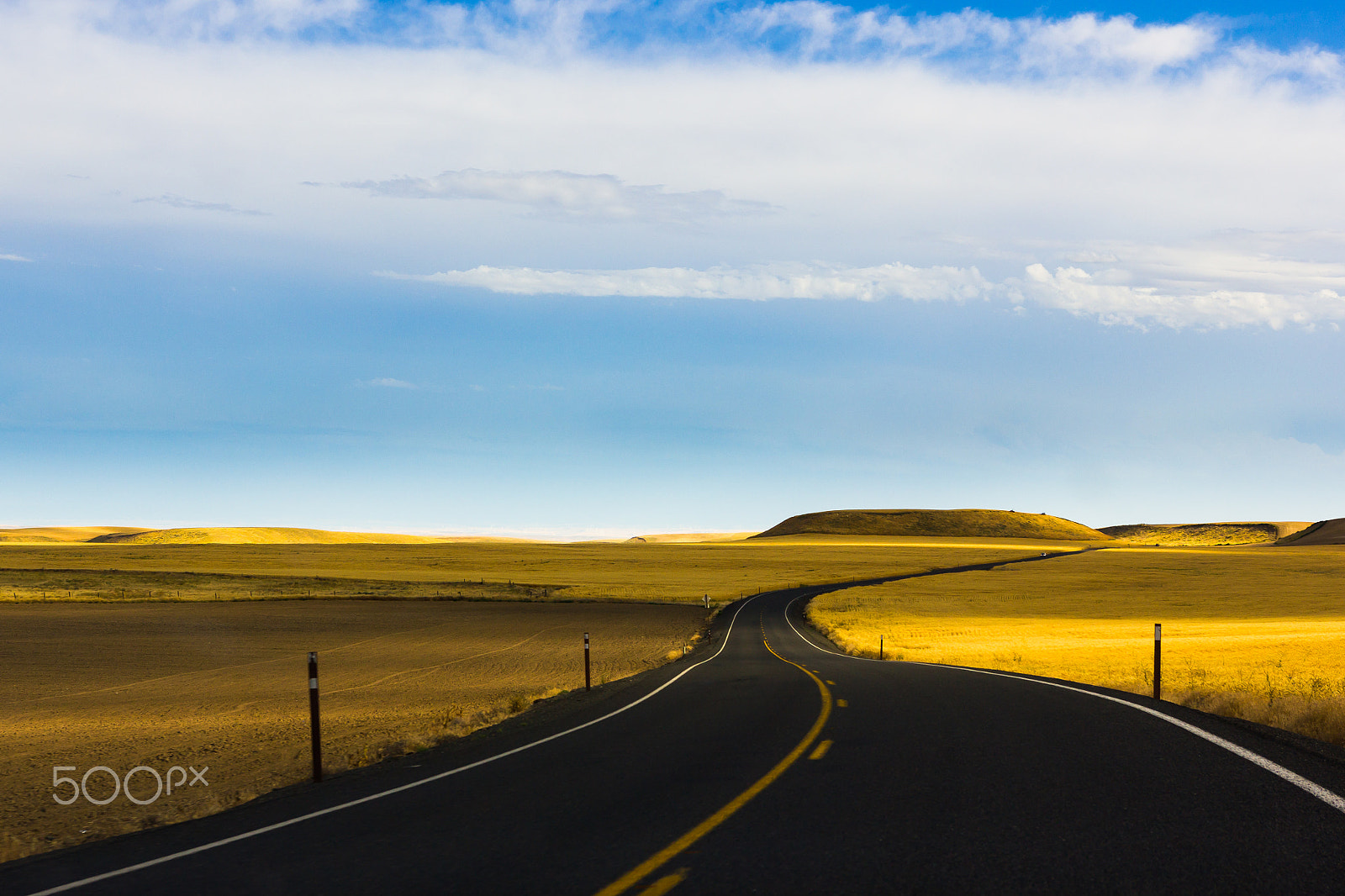 Sigma 18-35mm f/1.8 DC HSM sample photo. Road in middle of wheat fields photography