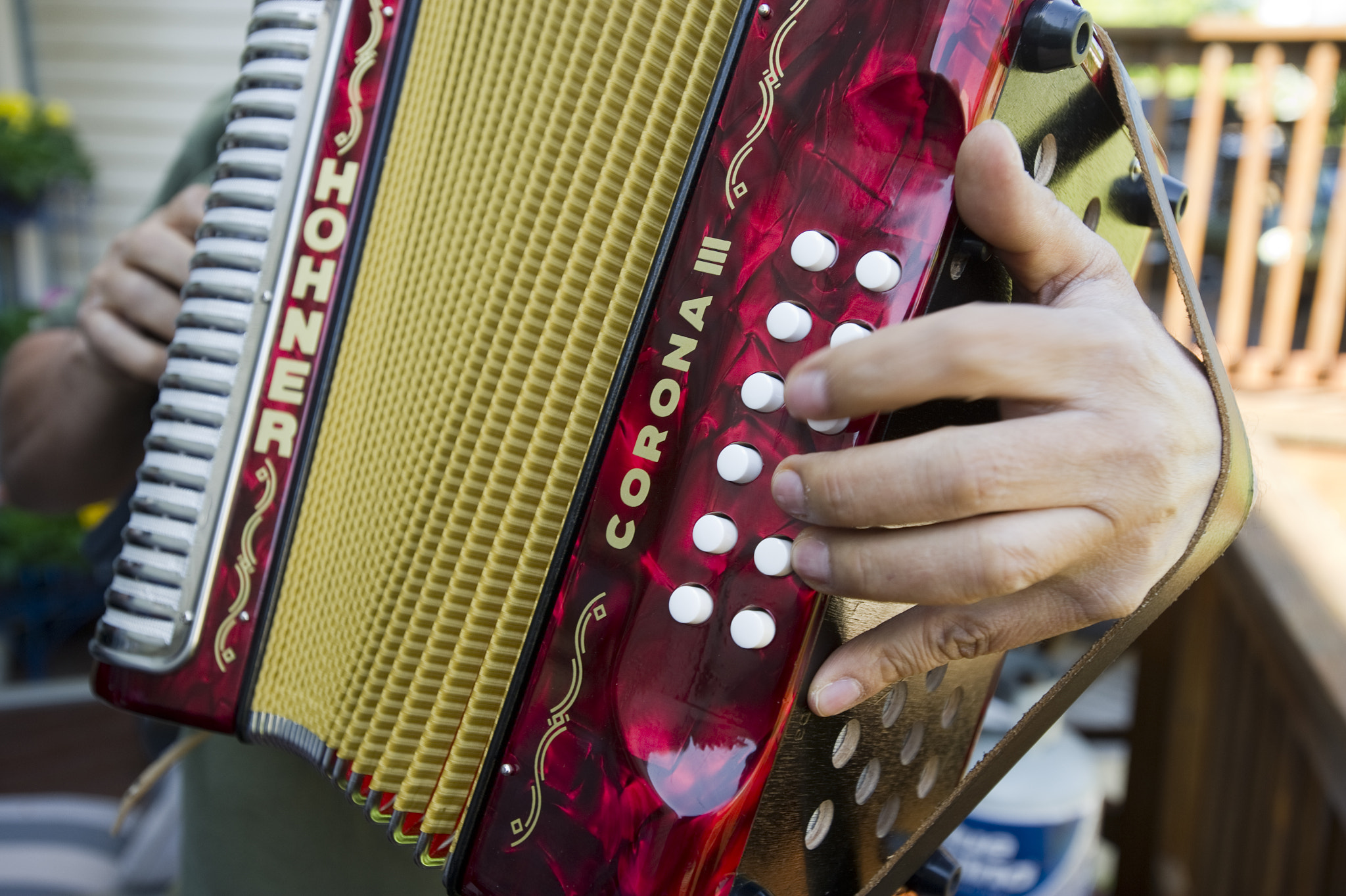 Nikon D3S sample photo. Columbian music - vallenato accordion photography