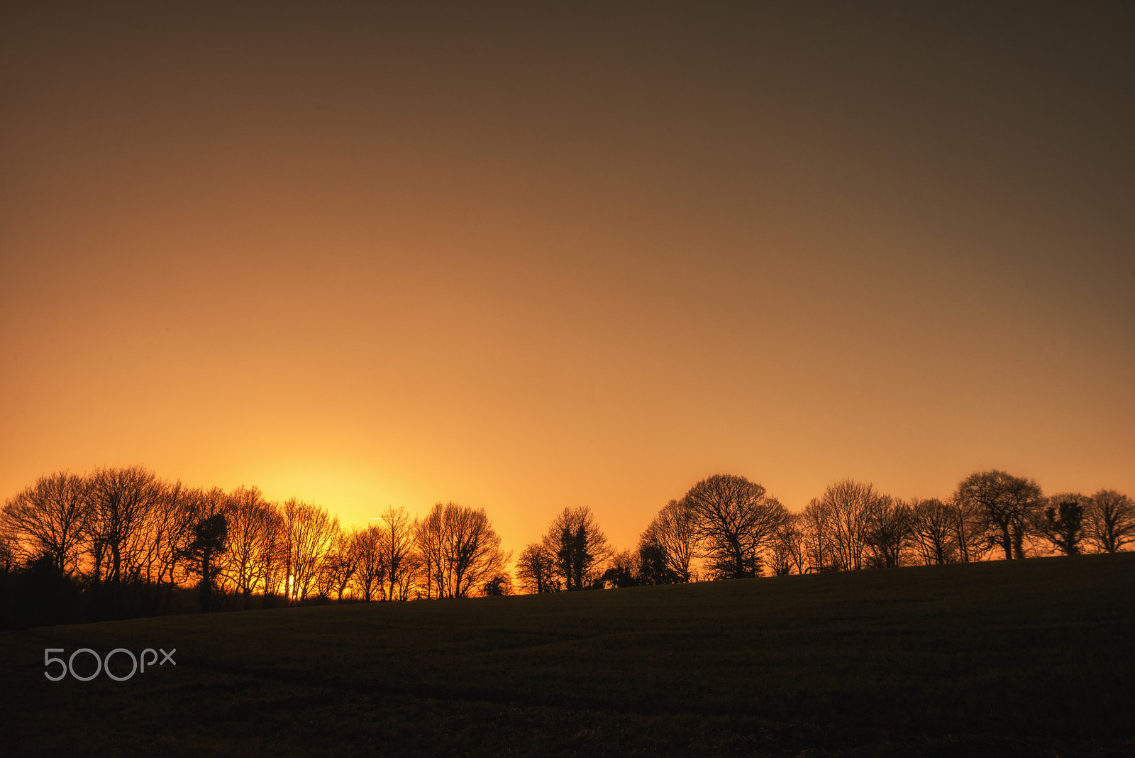 Sigma 17-35mm F2.8-4 EX DG  Aspherical HSM sample photo. Coxley sunset photography