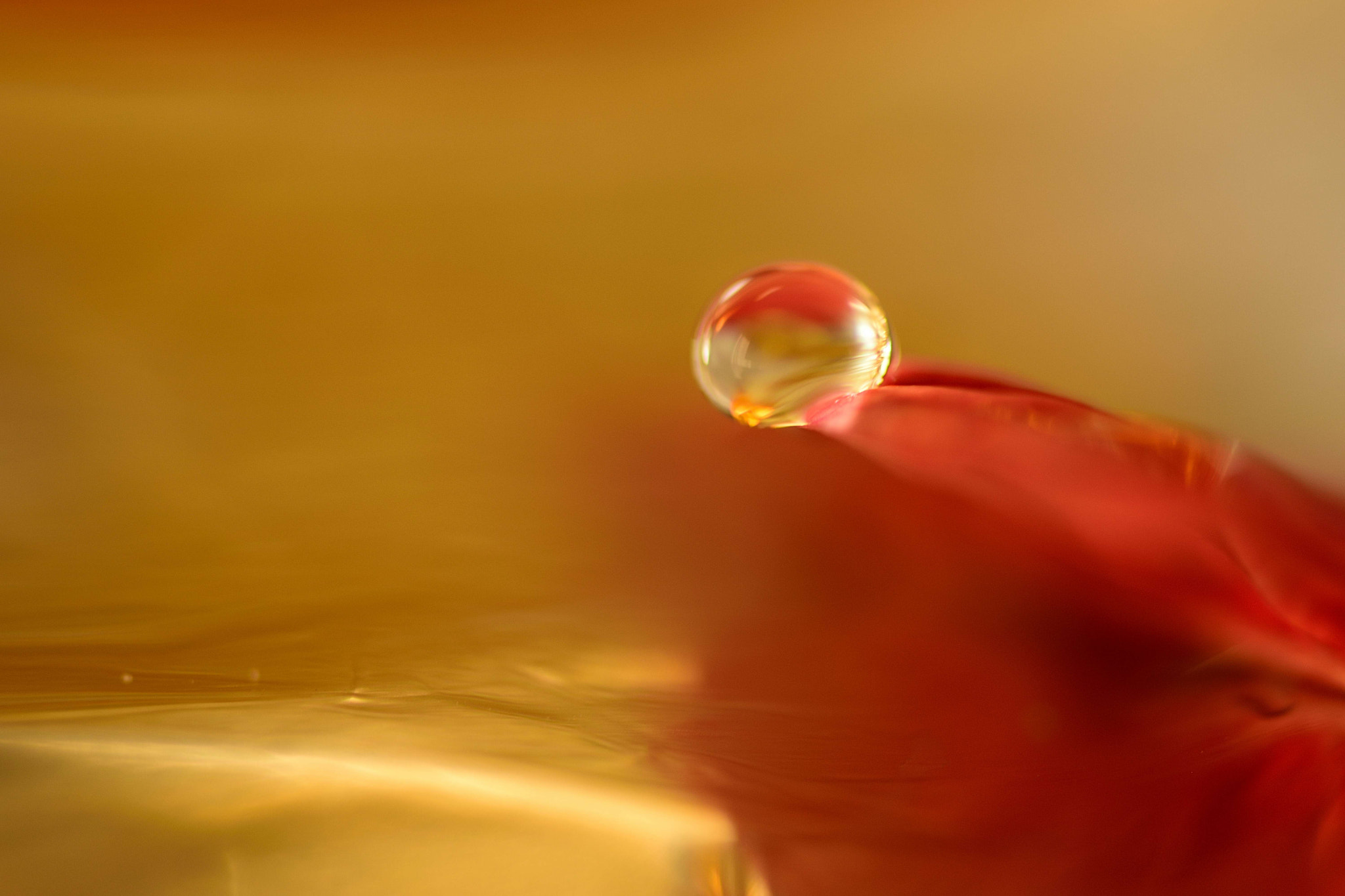 Sigma 105mm F2.8 EX DG OS HSM sample photo. Water jewel photography