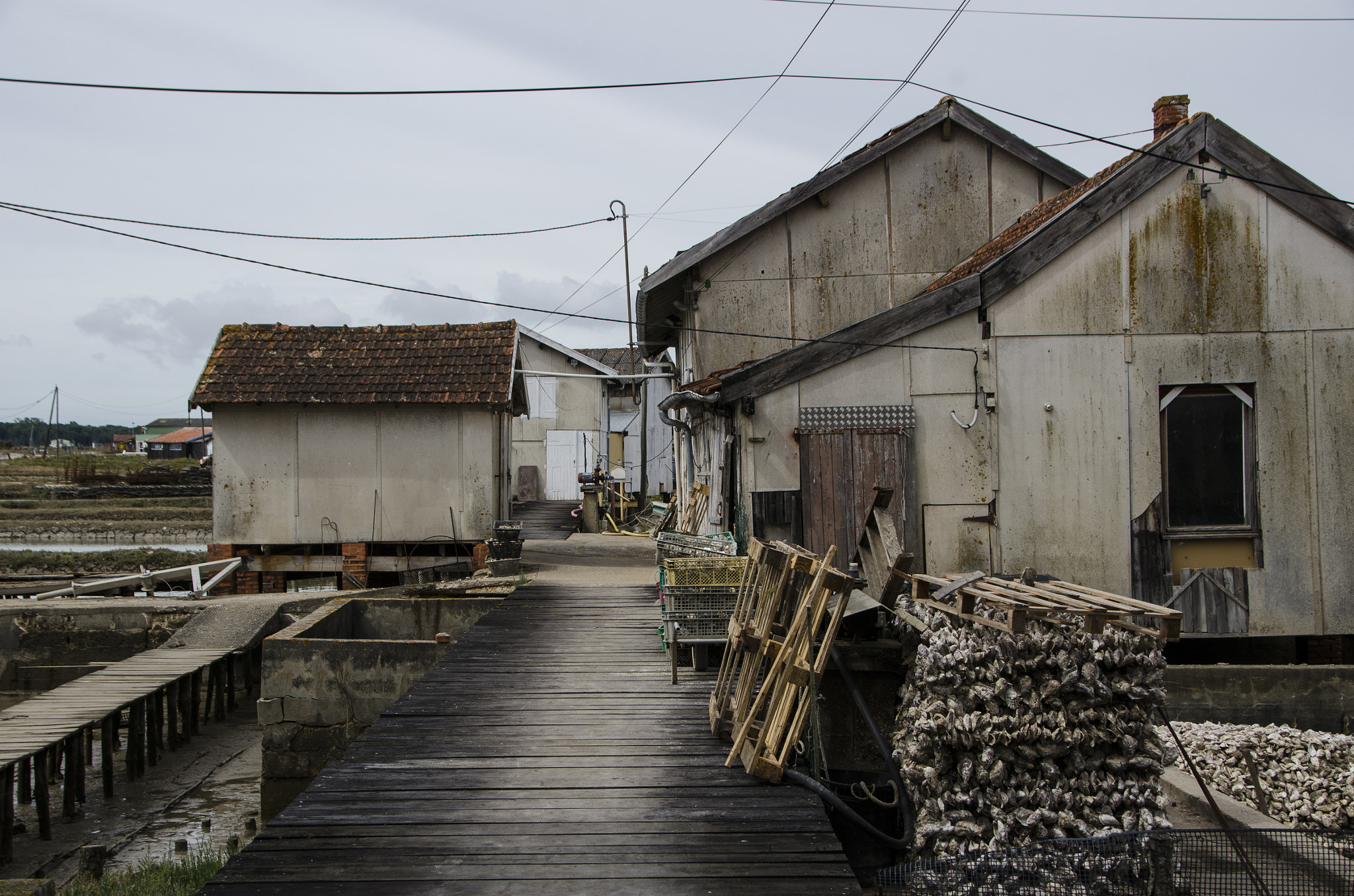 Nikon D7000 + Sigma 18-200mm F3.5-6.3 II DC OS HSM sample photo. Cabane, oyster impressing photography